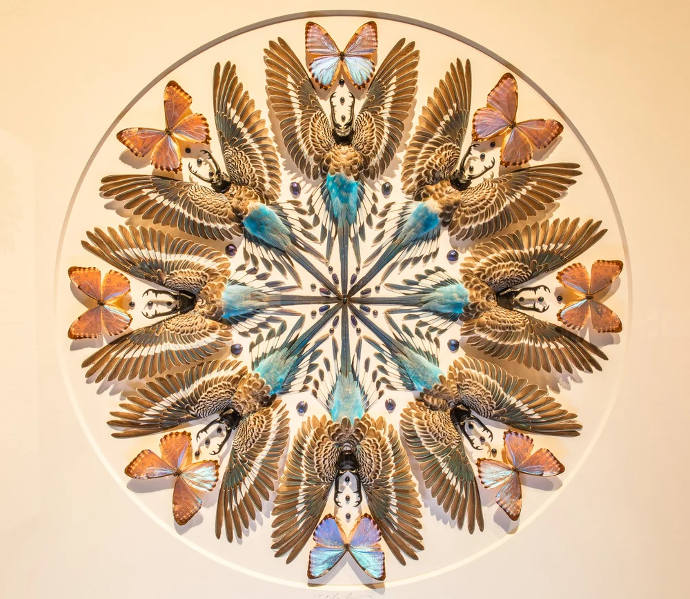 Exquisite Creatures at Science Museum of MN-14.jpg