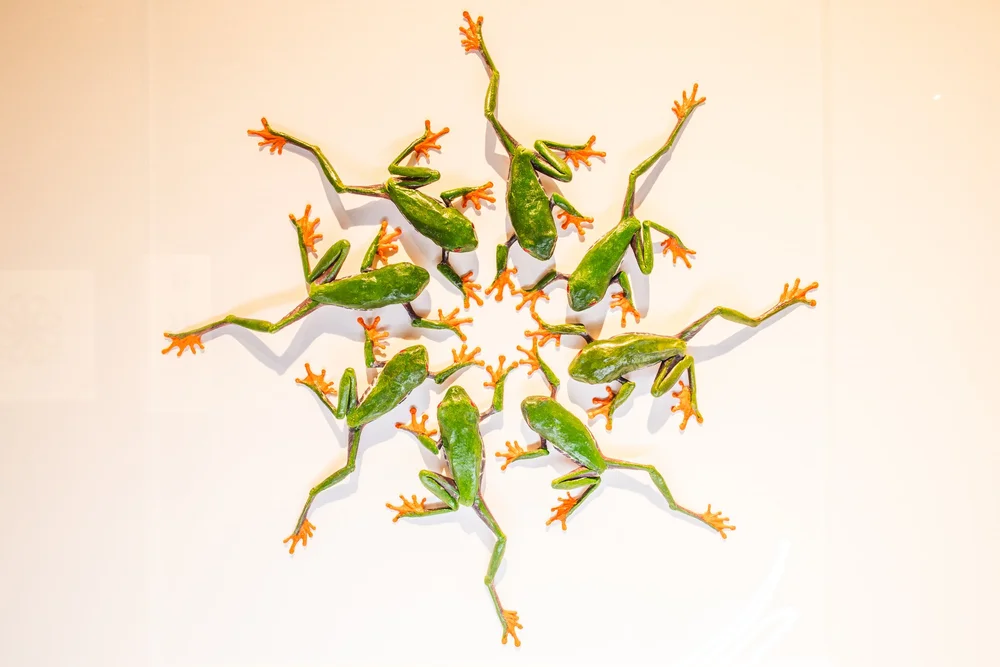 Exquisite Creatures at Science Museum of MN-09.jpg