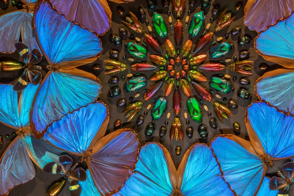 Exquisite Creatures at Science Museum of MN-20.jpg