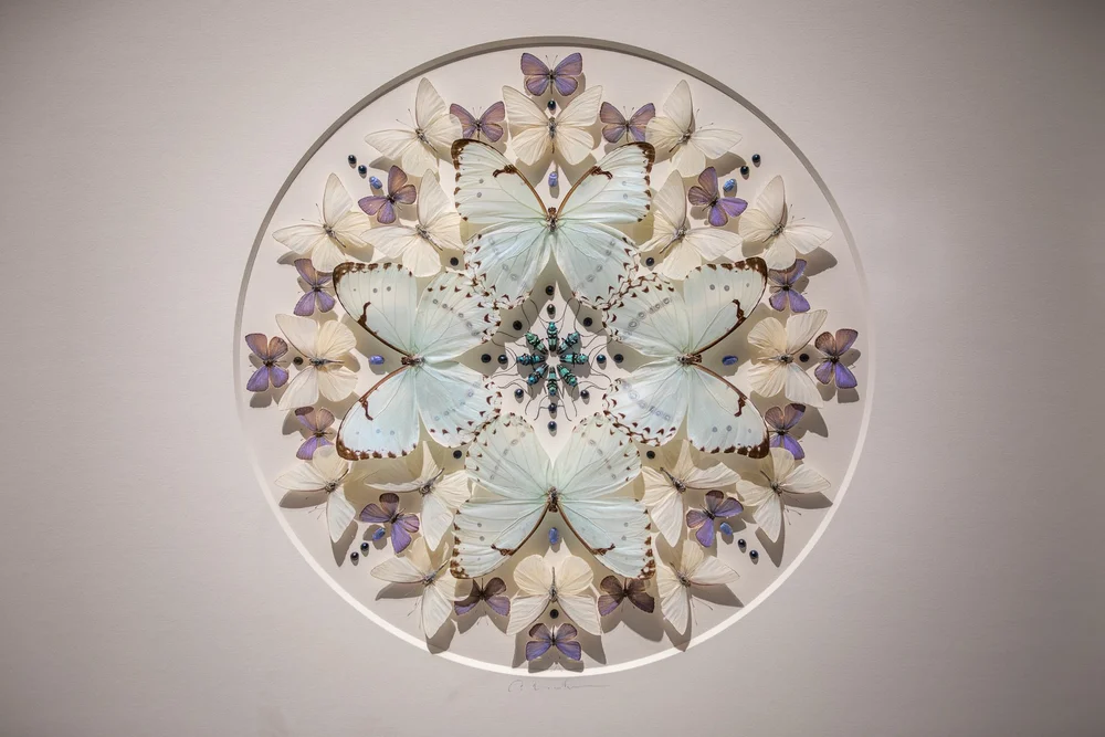 Exquisite Creatures at Science Museum of MN-22.jpg