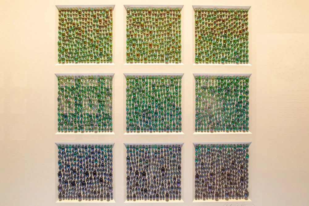 Exquisite Creatures at Science Museum of MN-05.jpg