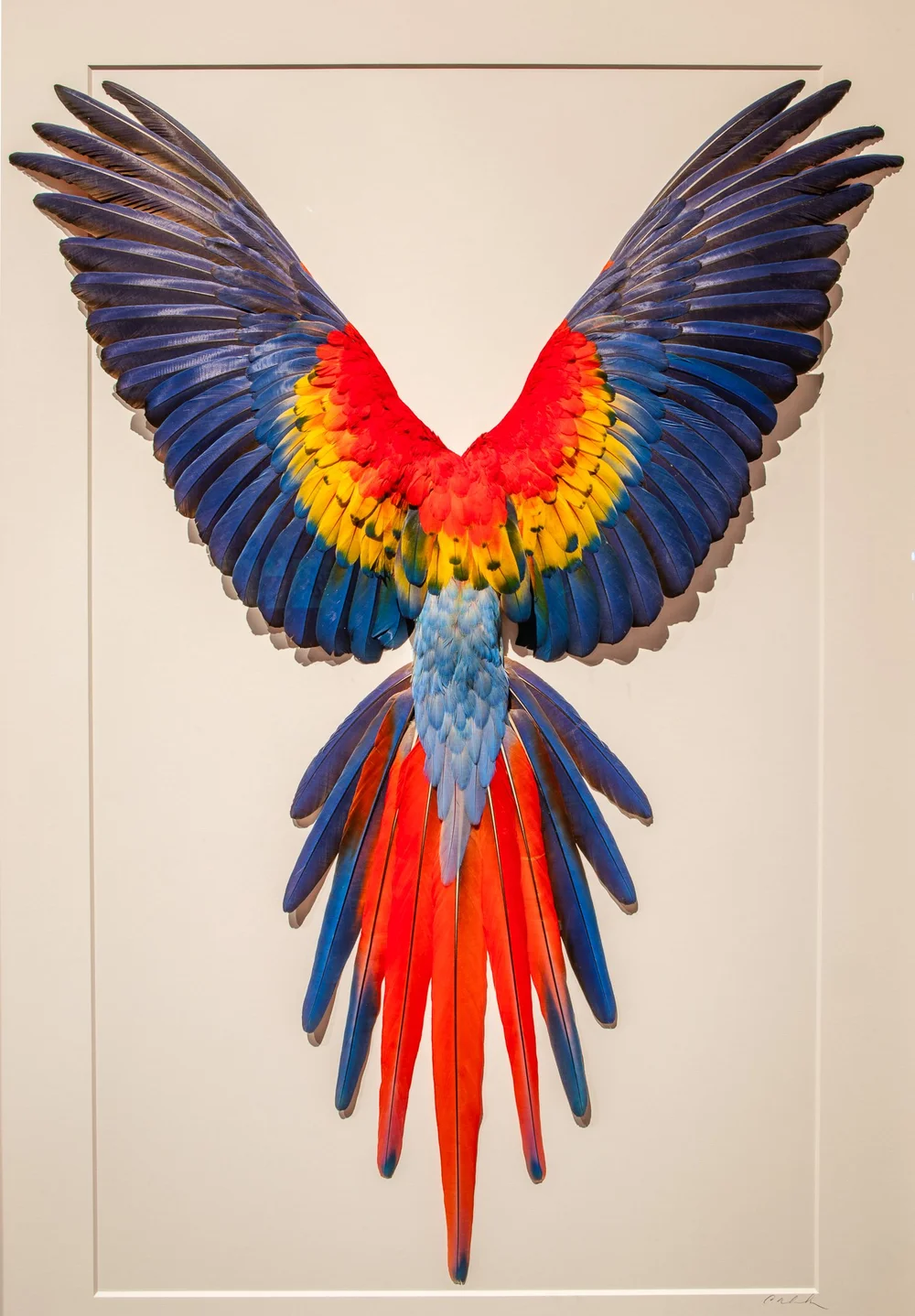 Exquisite Creatures at Science Museum of MN-10.jpg