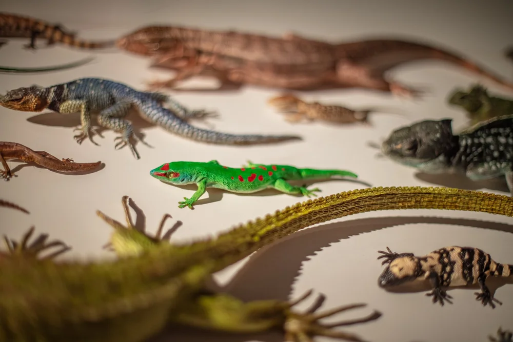 Exquisite Creatures at Science Museum of MN-46.jpg