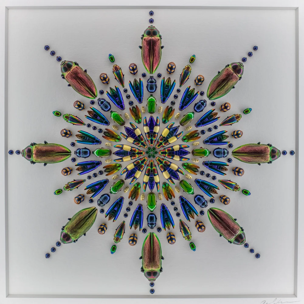 Exquisite Creatures at Science Museum of MN-38.jpg