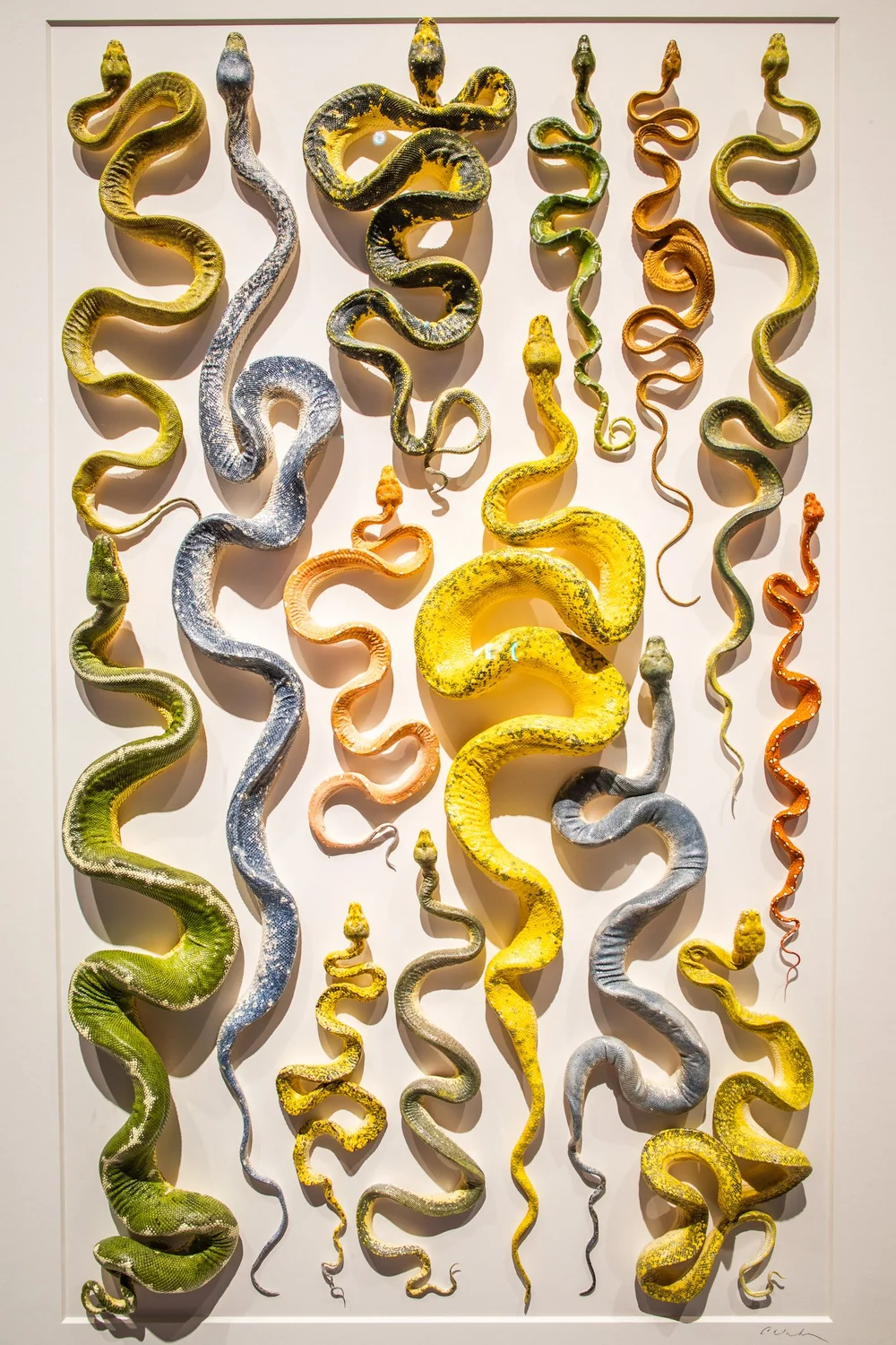 Exquisite Creatures at Science Museum of MN-03.jpg