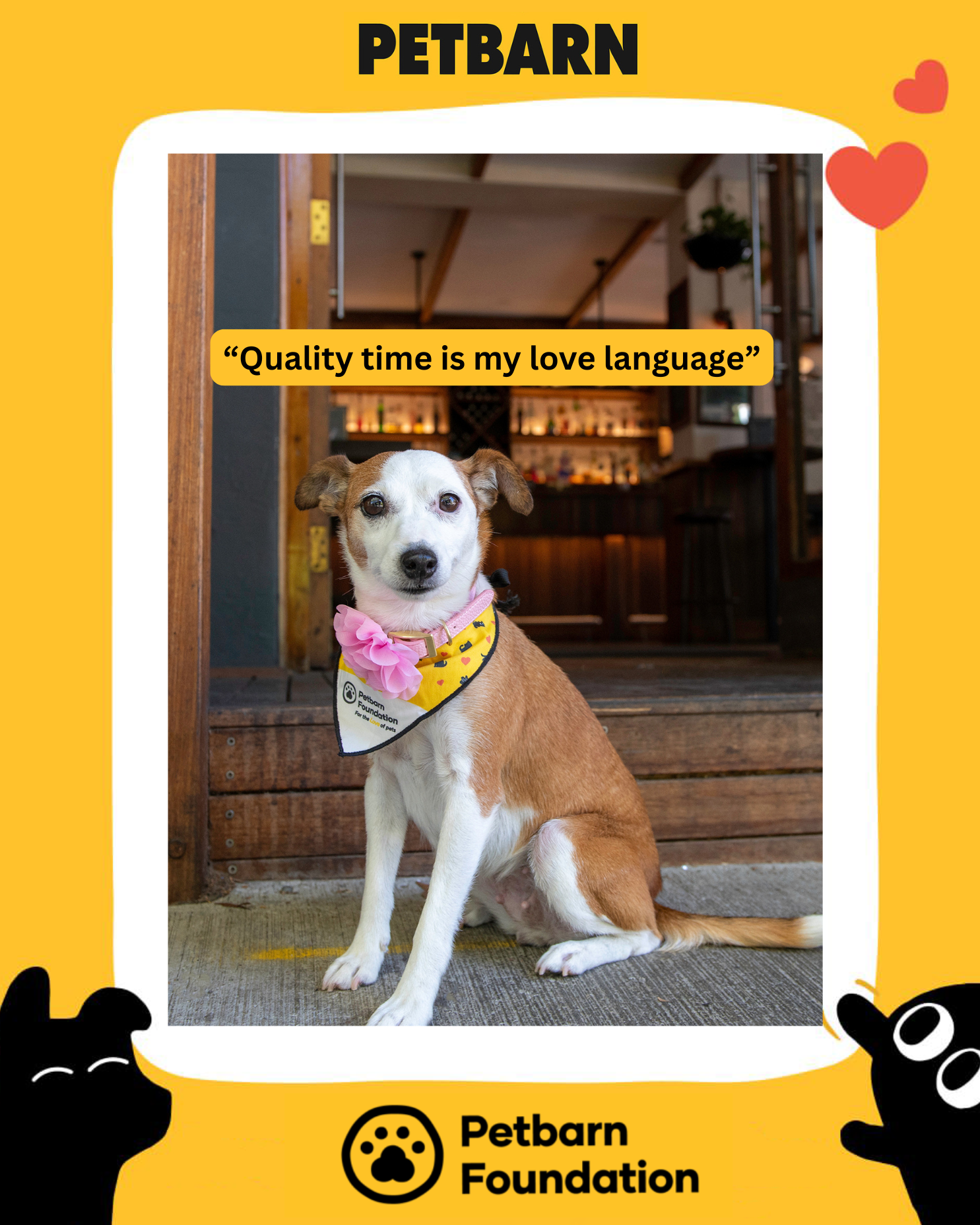 Petbarn Valentines Day 1 (3).png
