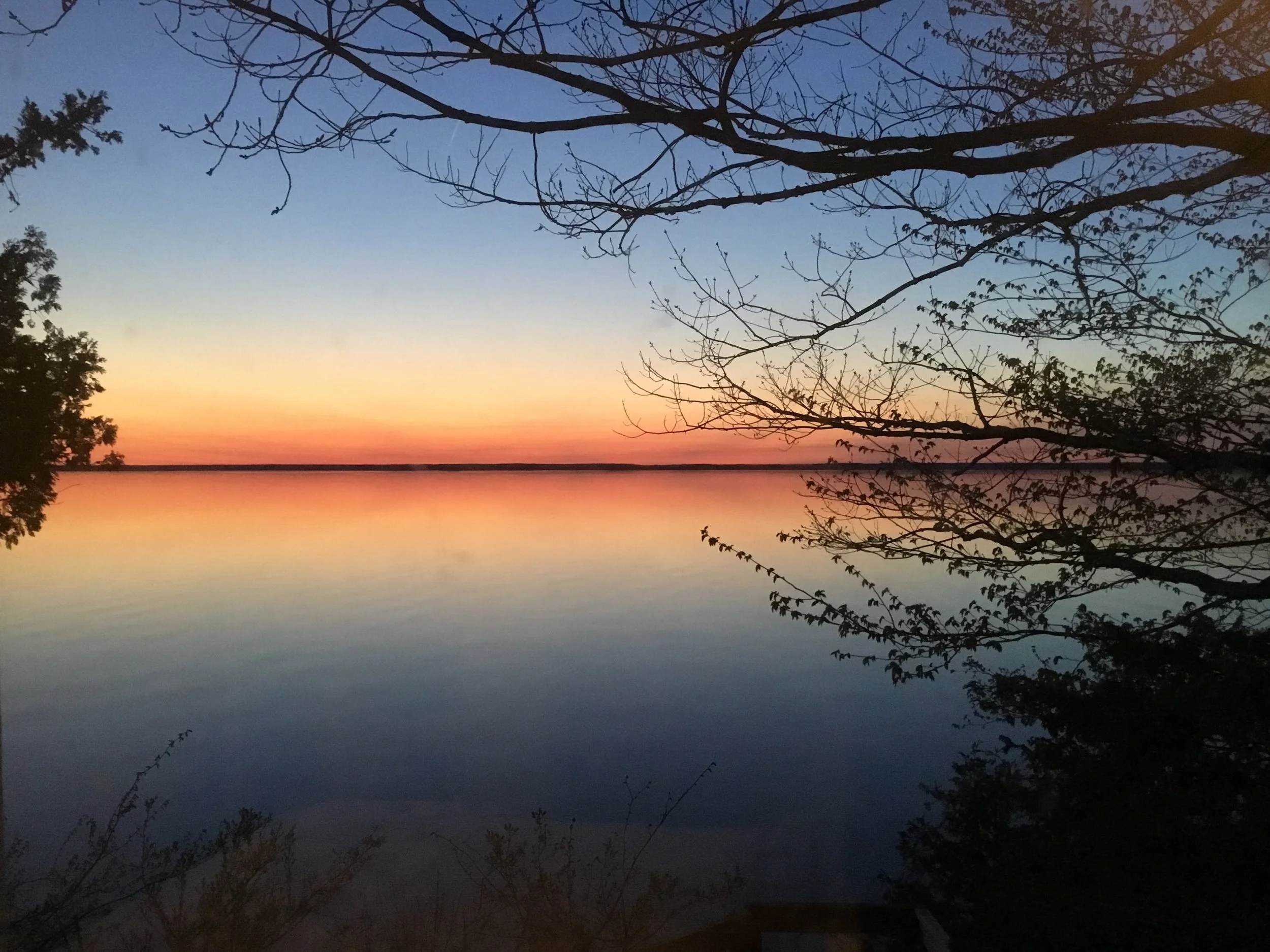 Oxalic acid: treating the dreaded varroa.