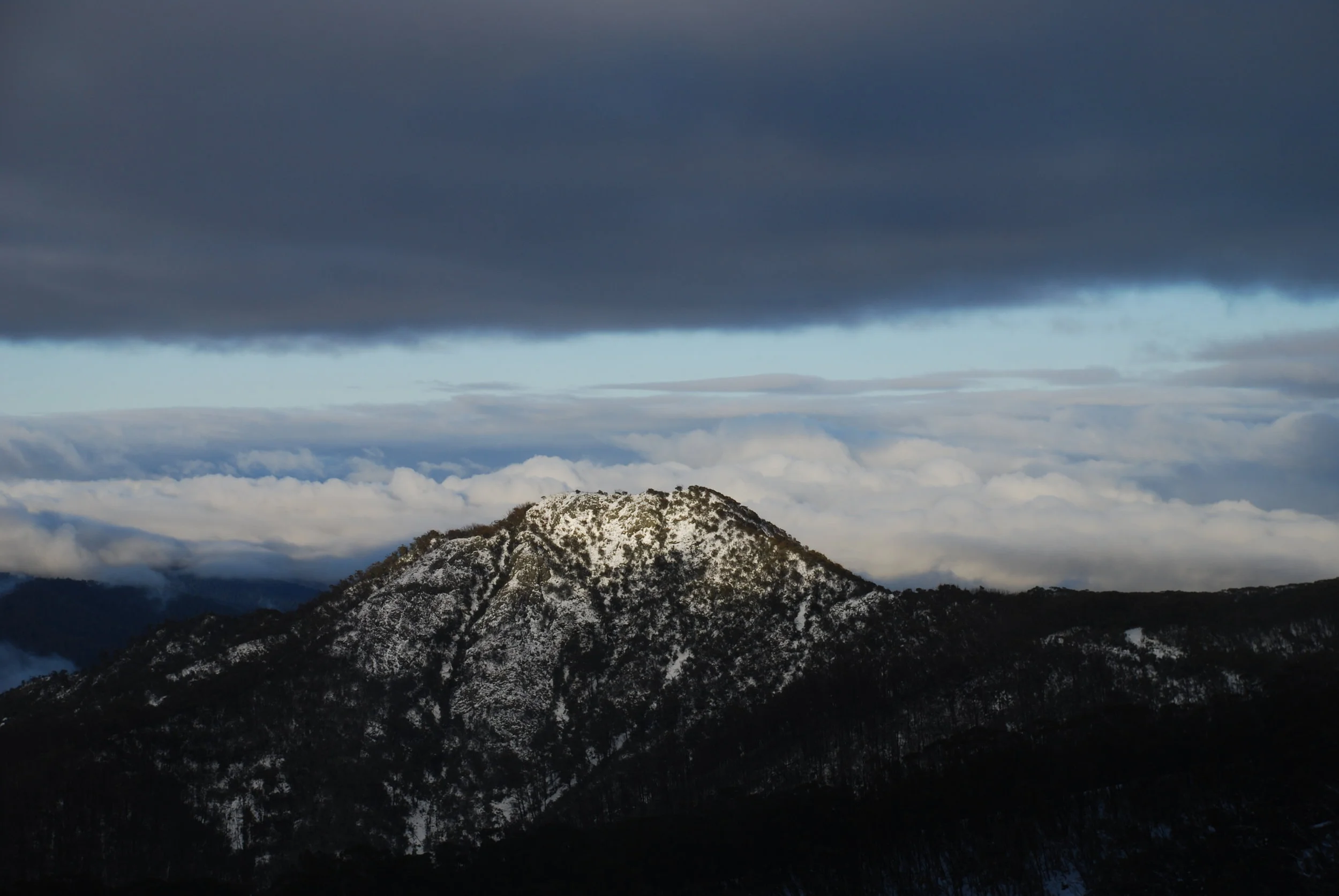 DSC_0379.JPG