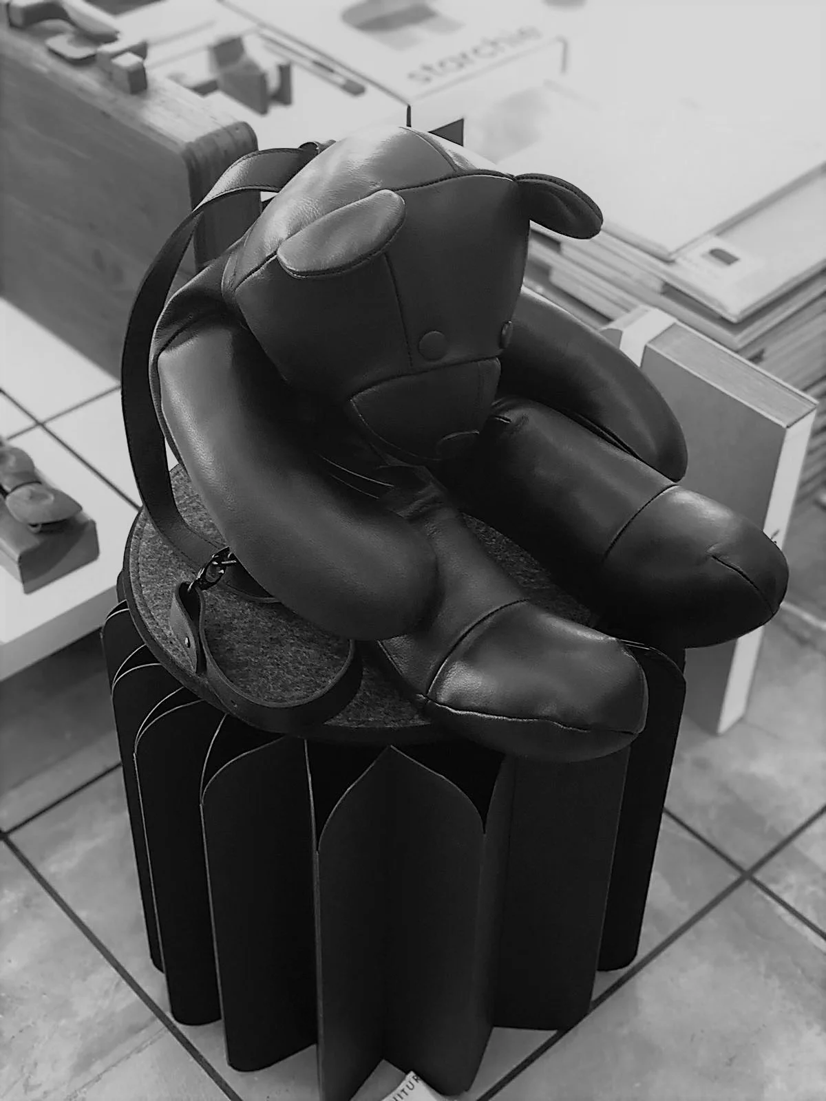 Mr Teddy’s New Home