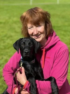 Happy Dogs Hundkurser