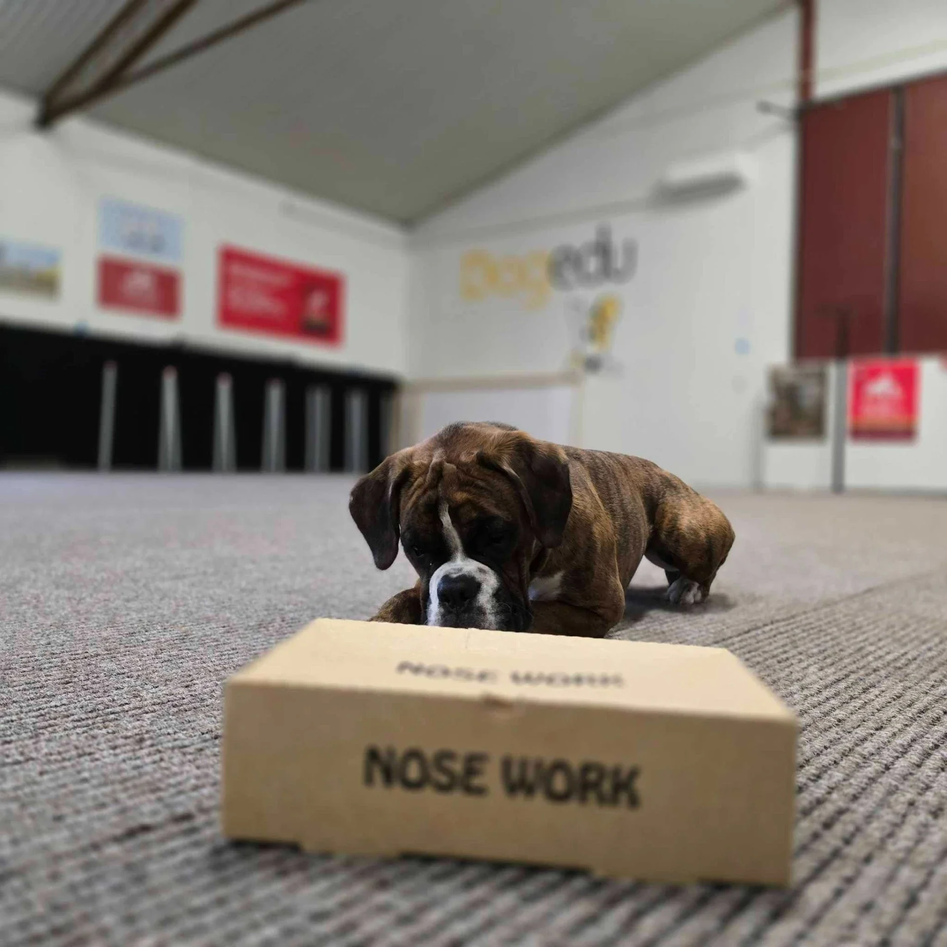 Tema Doftprov  11/12