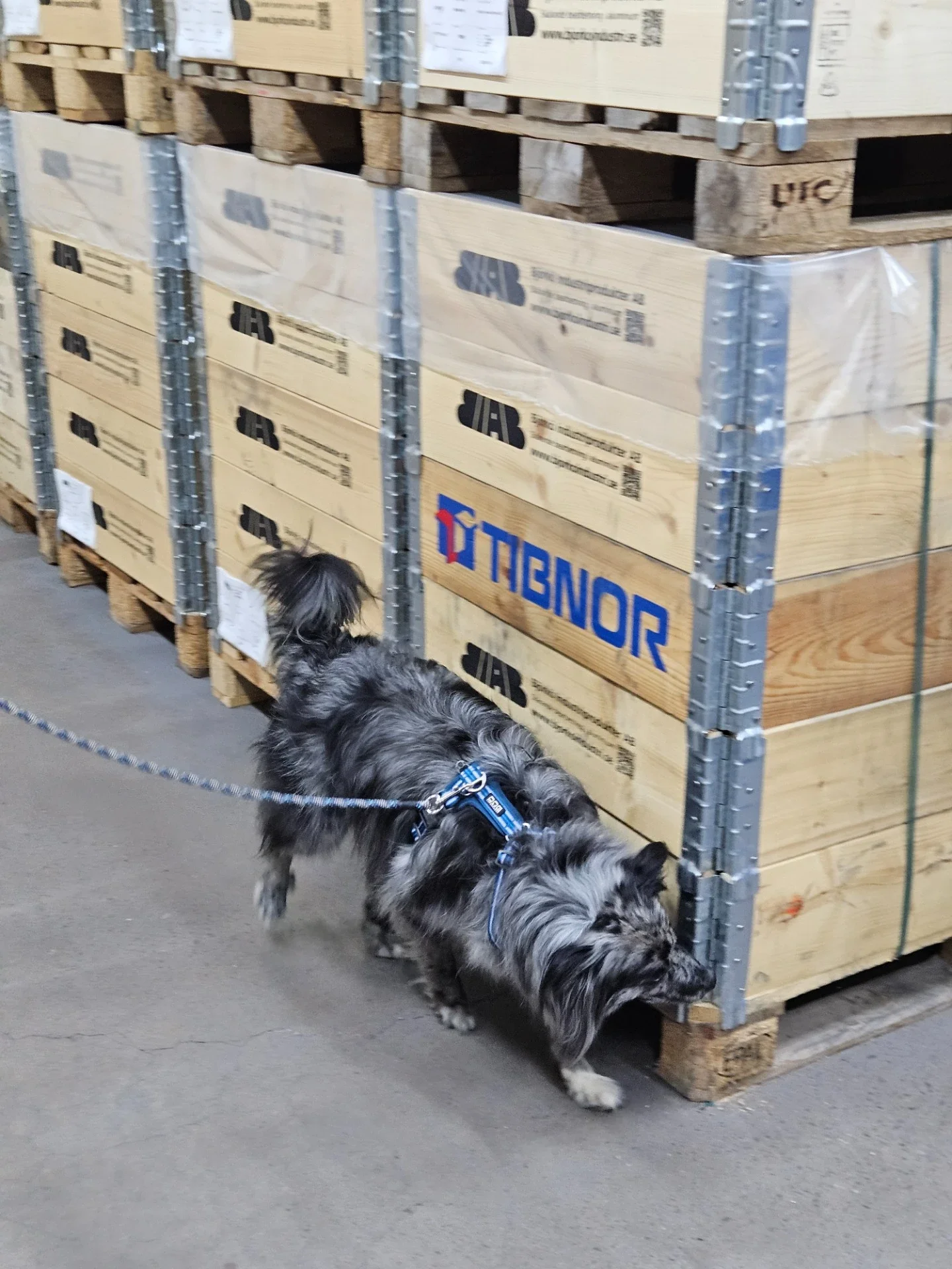 Träningsgrupp i härliga miljöer i Habo &amp; Bankeryd