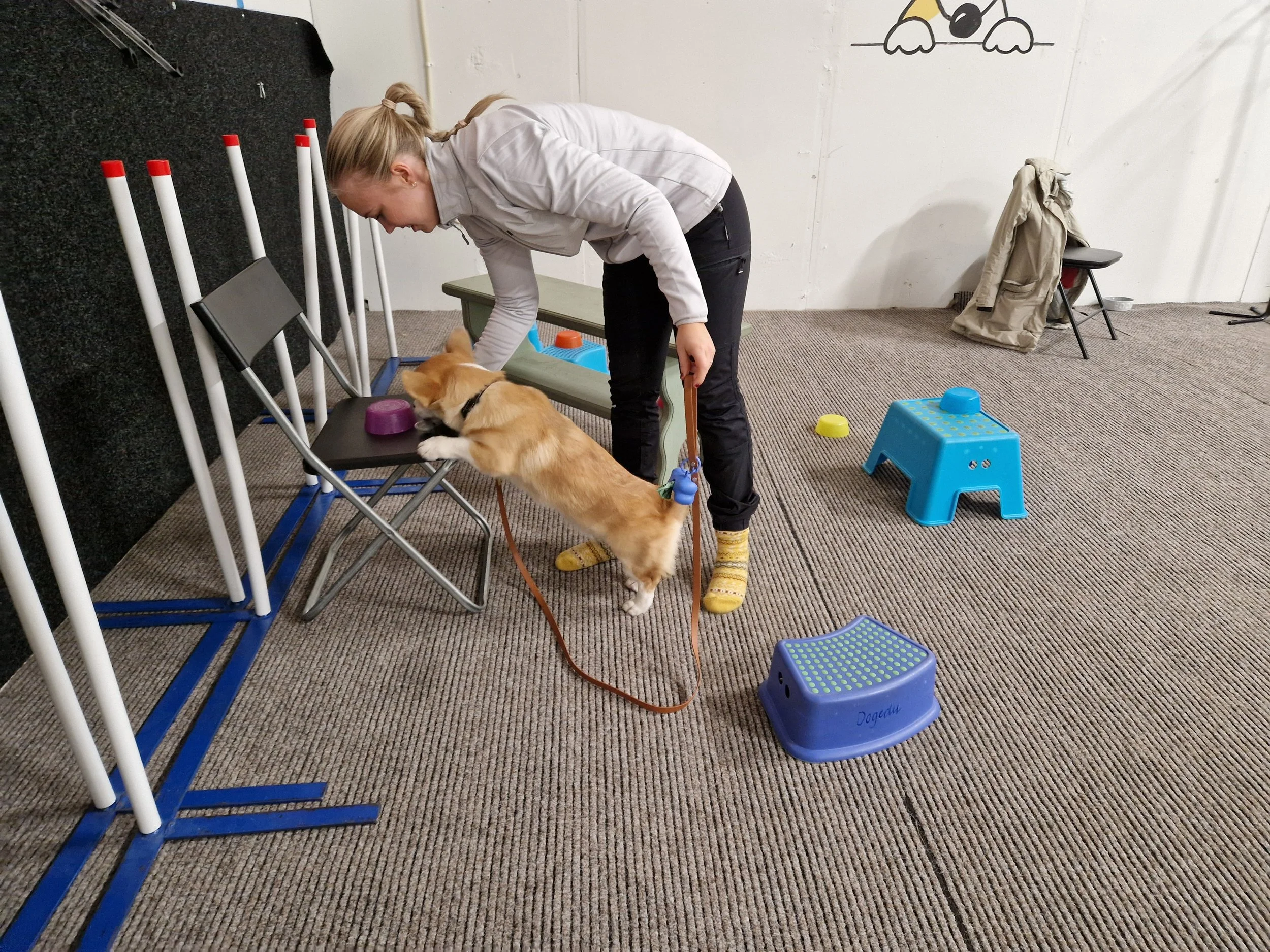 Nose Work steg 1 start 9 april