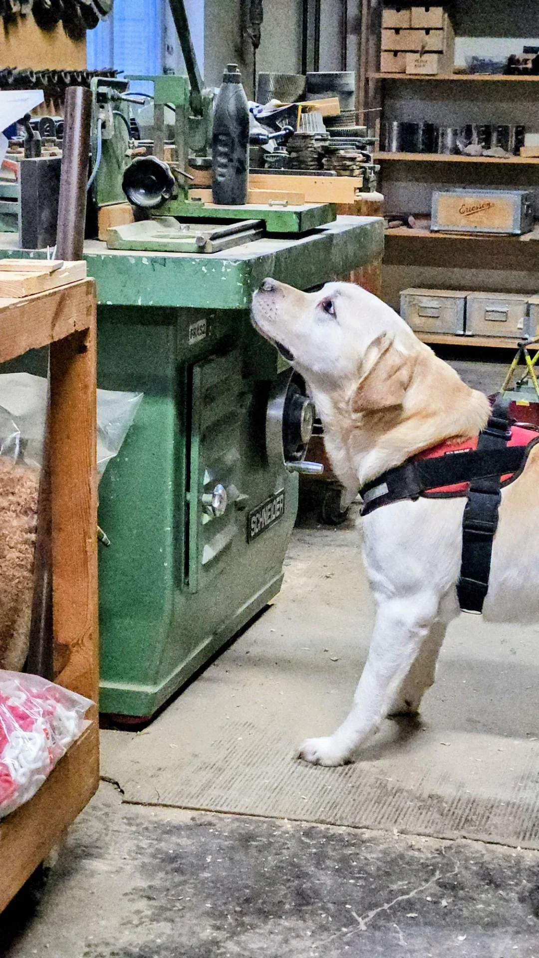 Träningstävling Clear Round 28 mars - Hembygdsgården i Habo