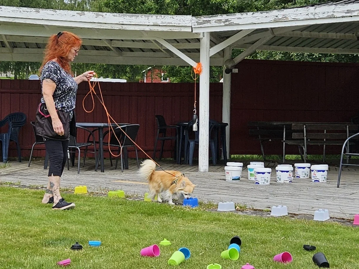 TEMA Stora behållarsök - 2 juli