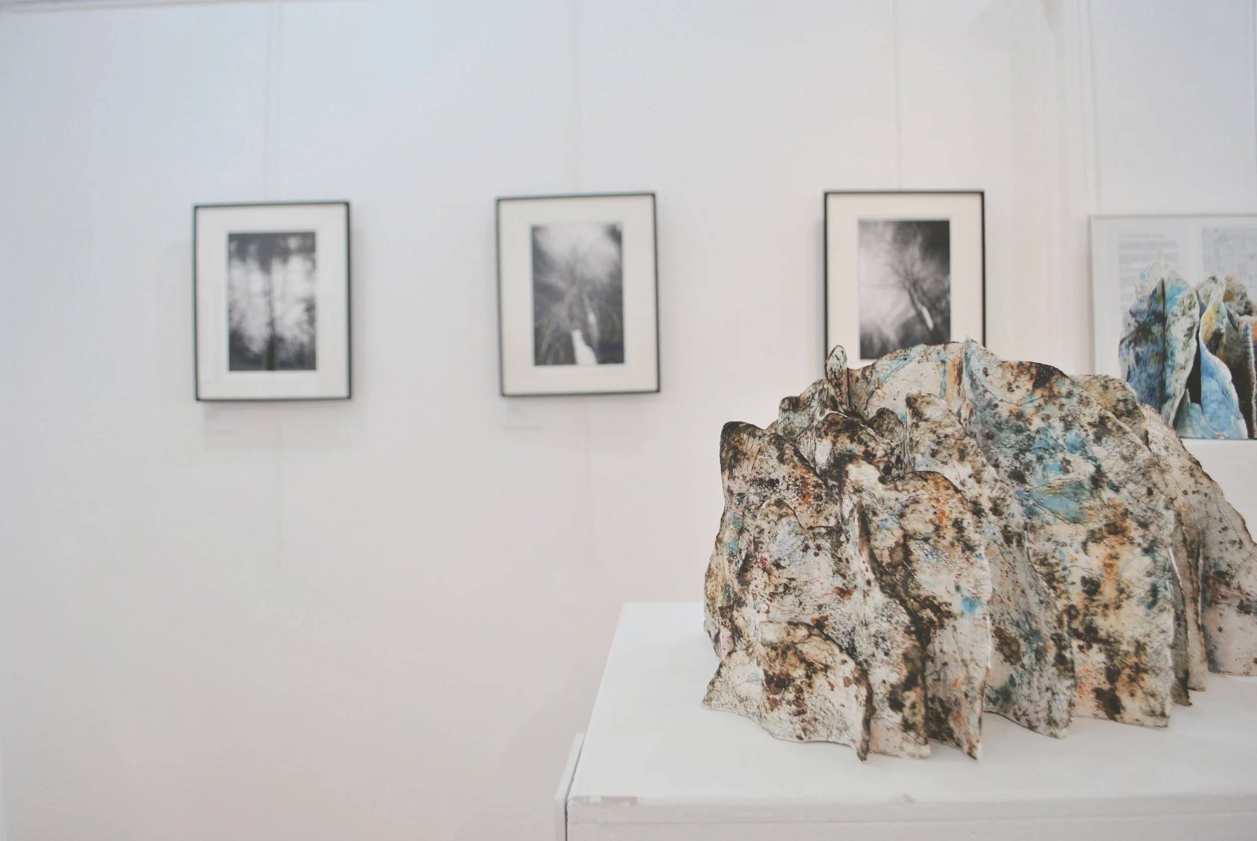 hastings-arts-forum-july