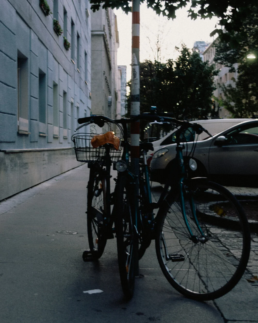 vienna-21.jpg