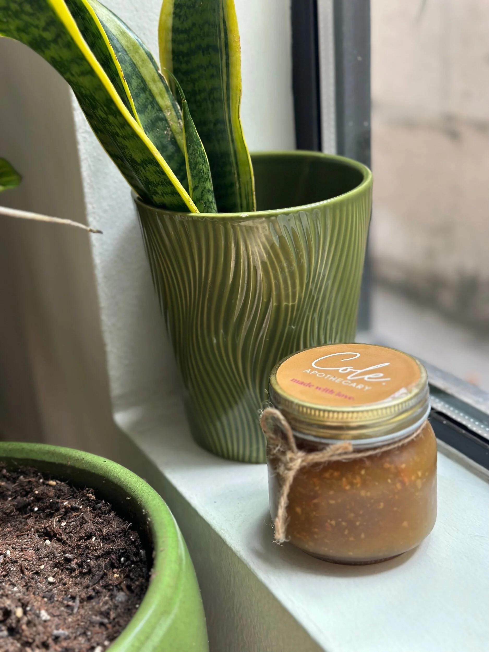 D3117EC8-CBB9-4432-A2A7-10C685FED6C8