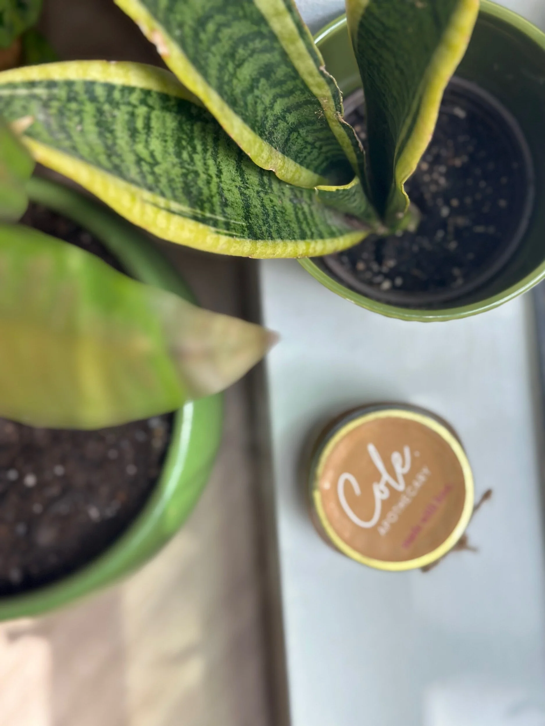 9EF14781-A955-4EBF-98DE-0139D573AFD7