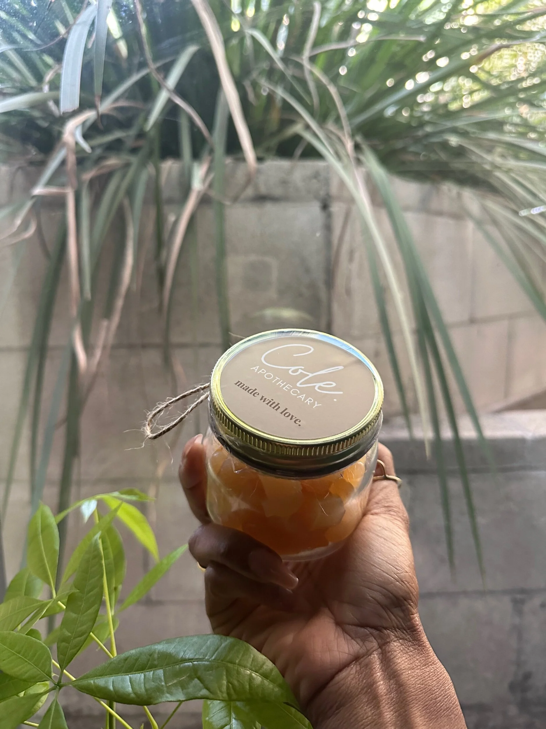 7D1FAA55-CB98-4D19-A58E-1D5294B7CF3F