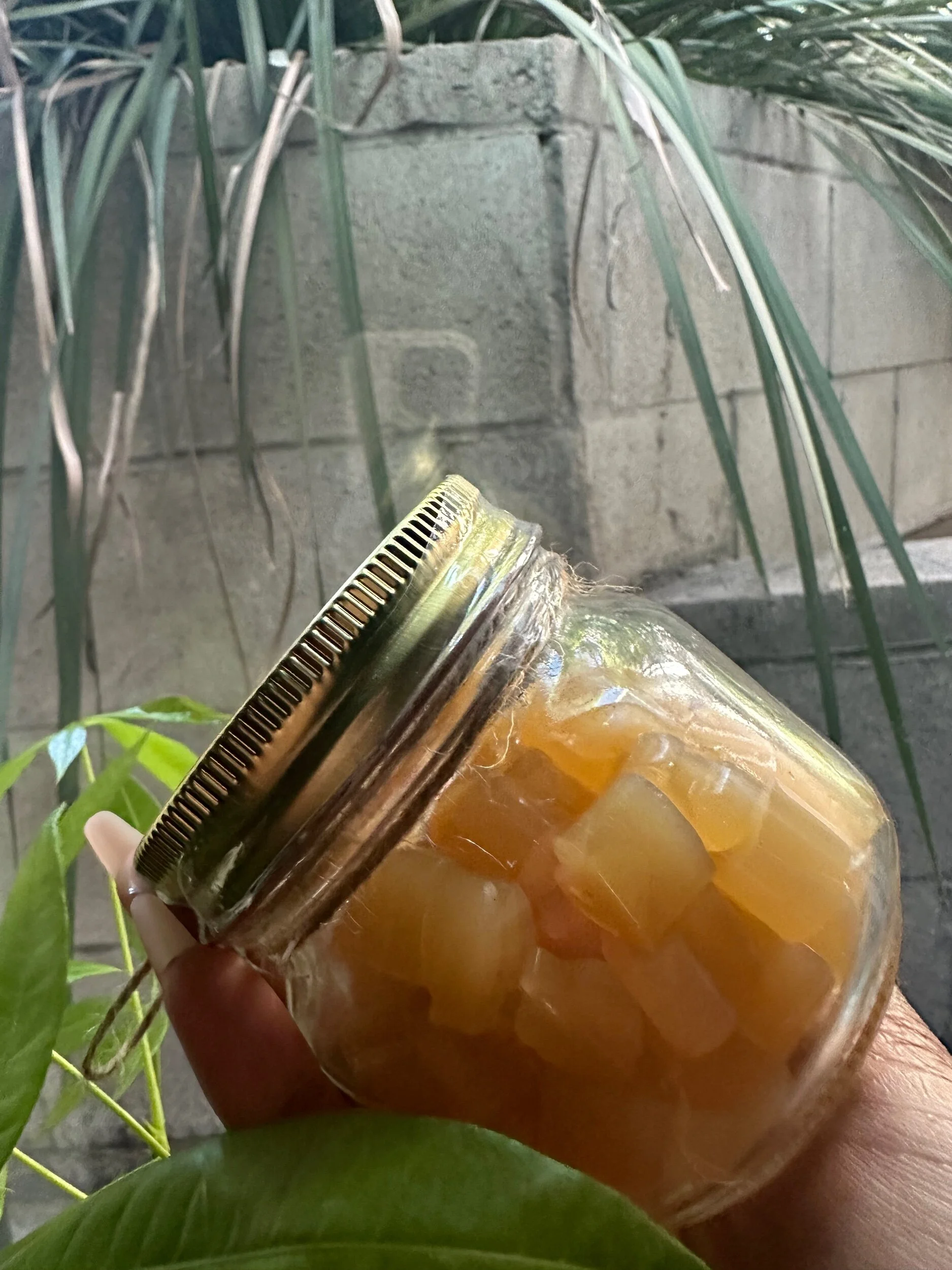 B78C77FA-B5D3-4E42-8DCC-13346BA96C0B