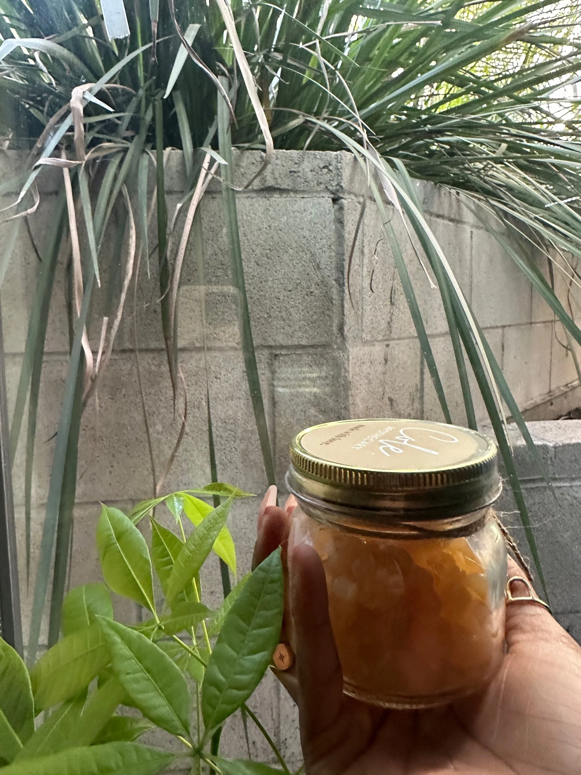 D7324AAF-2F99-4C80-84E0-83D612E85ECD