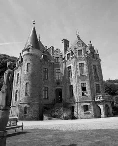 Châteaux and vineyards 房地产