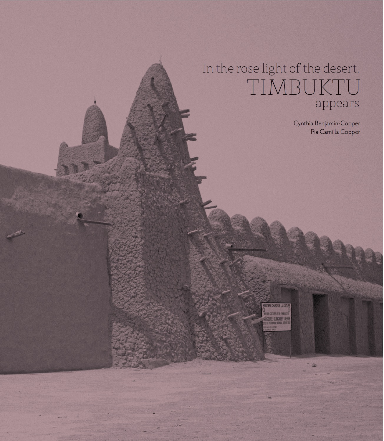 In The Rose Light of the Desert, available for sale