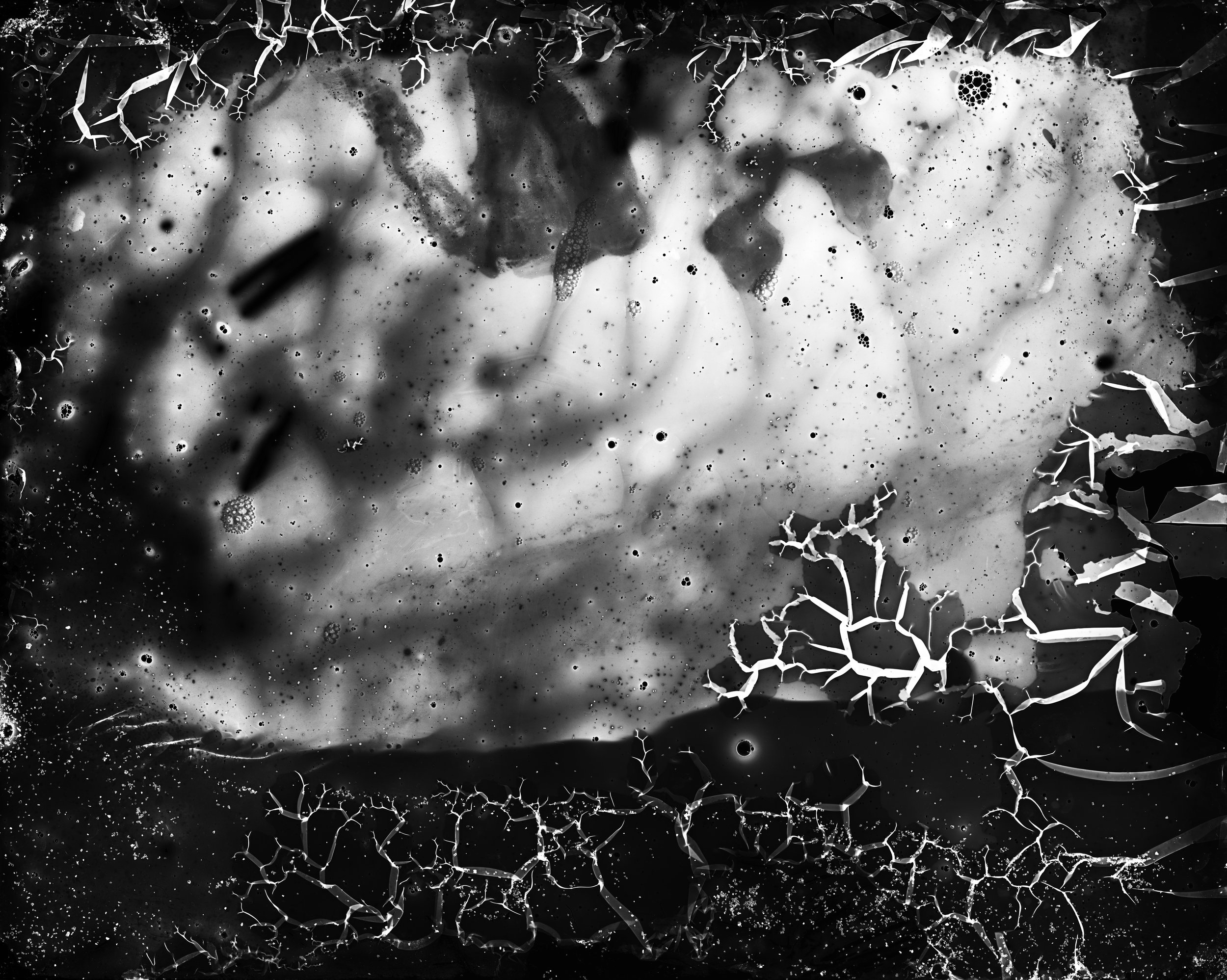 Michael Flomen, Montauk X, 2024.  Gelatin Silver-Toned Print, Edition 1 / 3. 44 x 56 in. (112 x 142 cm). Unframed. Signed, dated, with studio stamp. Price on request on verso