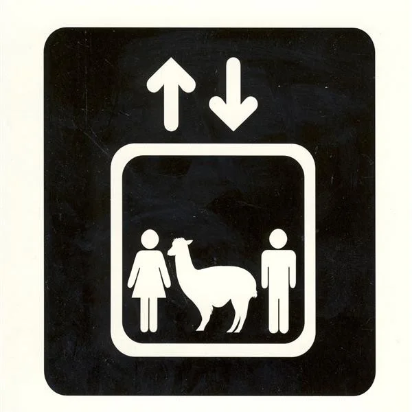 Store Alpaca Ensemble - Elevator