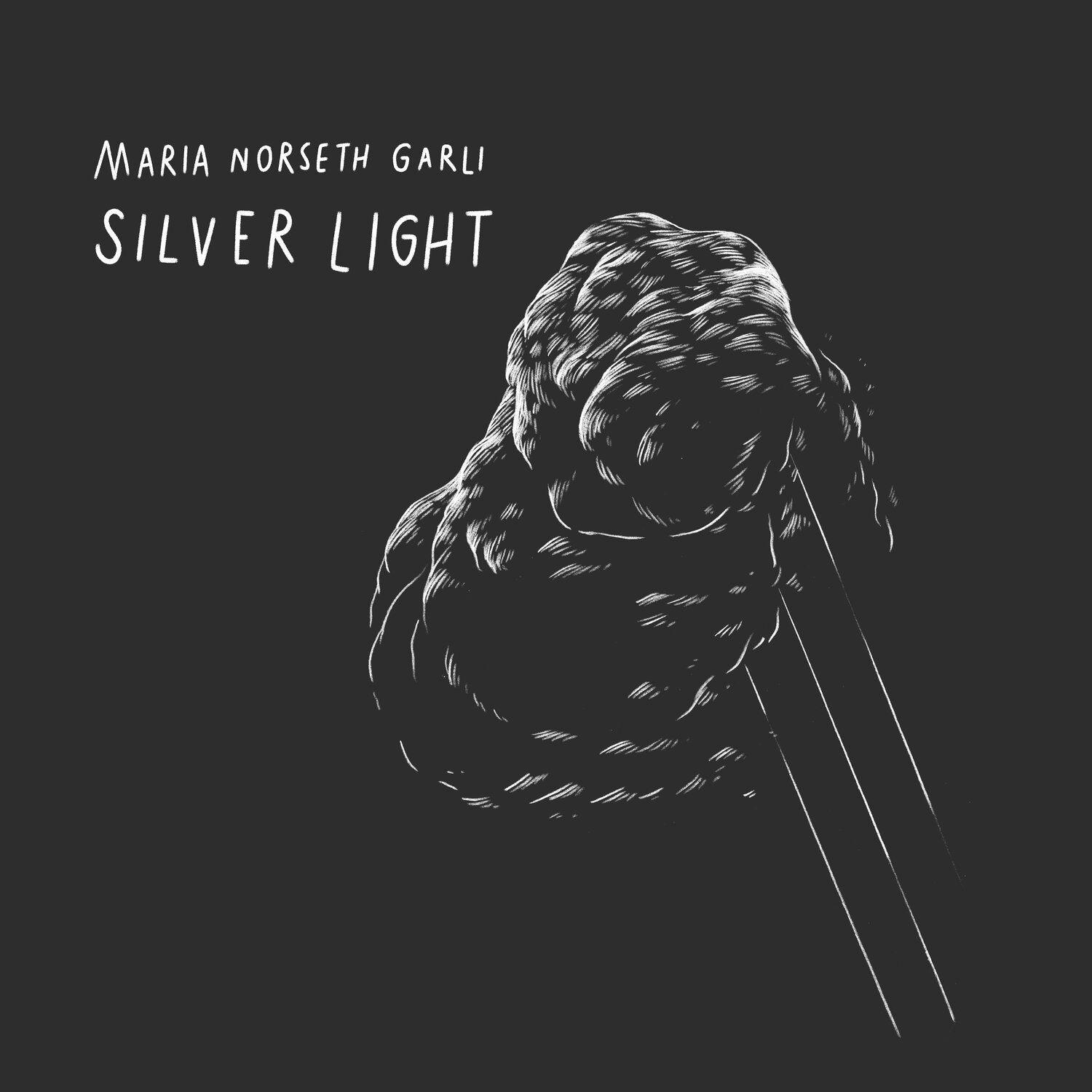 silver+light+dig+cover_rev1.jpg