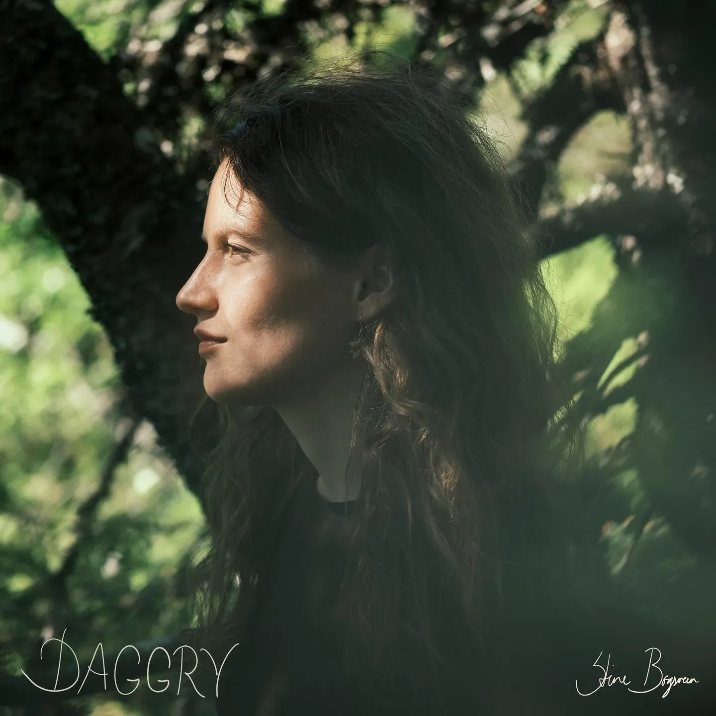 Stine Bogsveen - Daggry