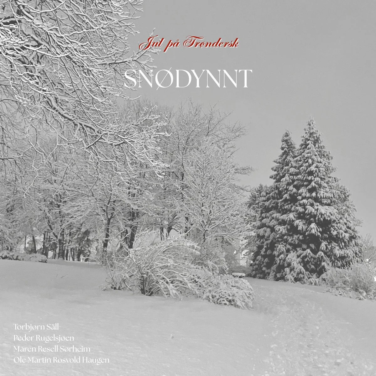 Jul på Trøndersk - Snødynnt