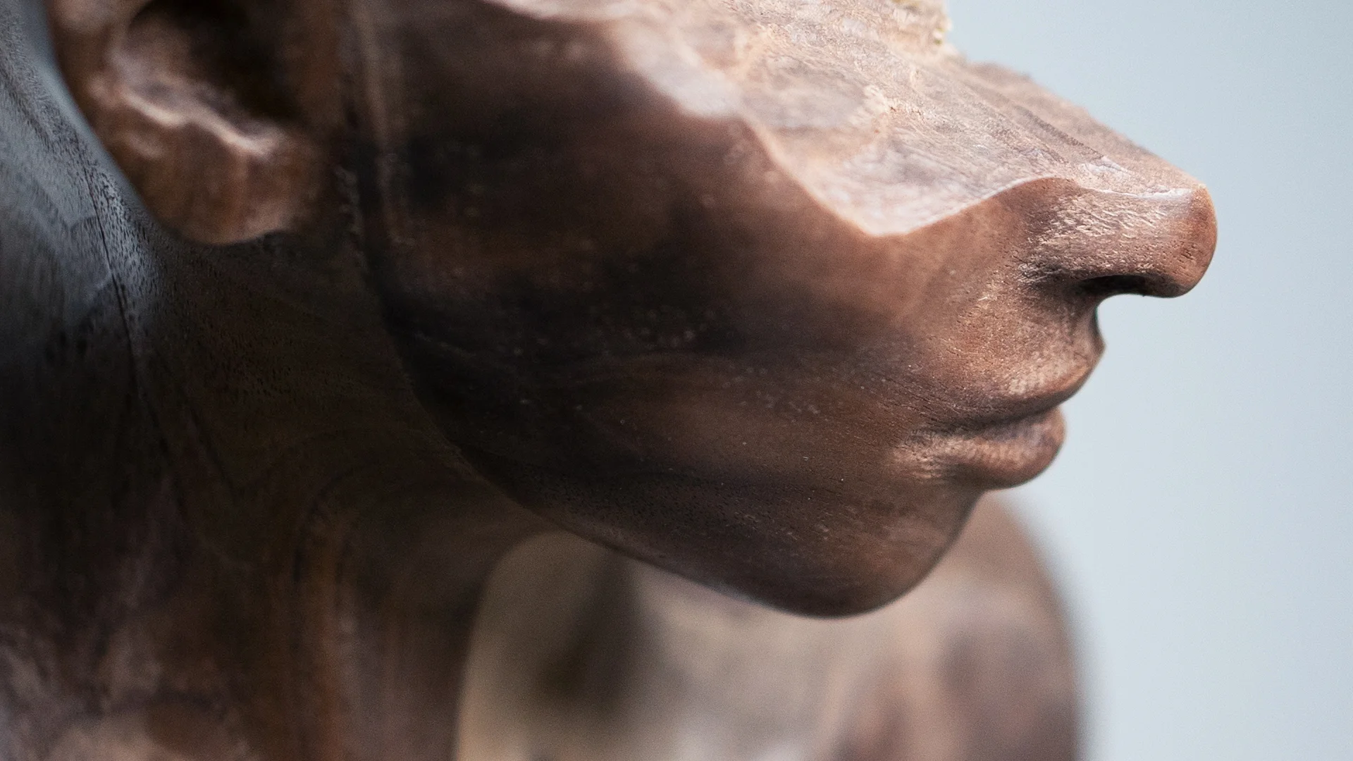 wood_02.jpg