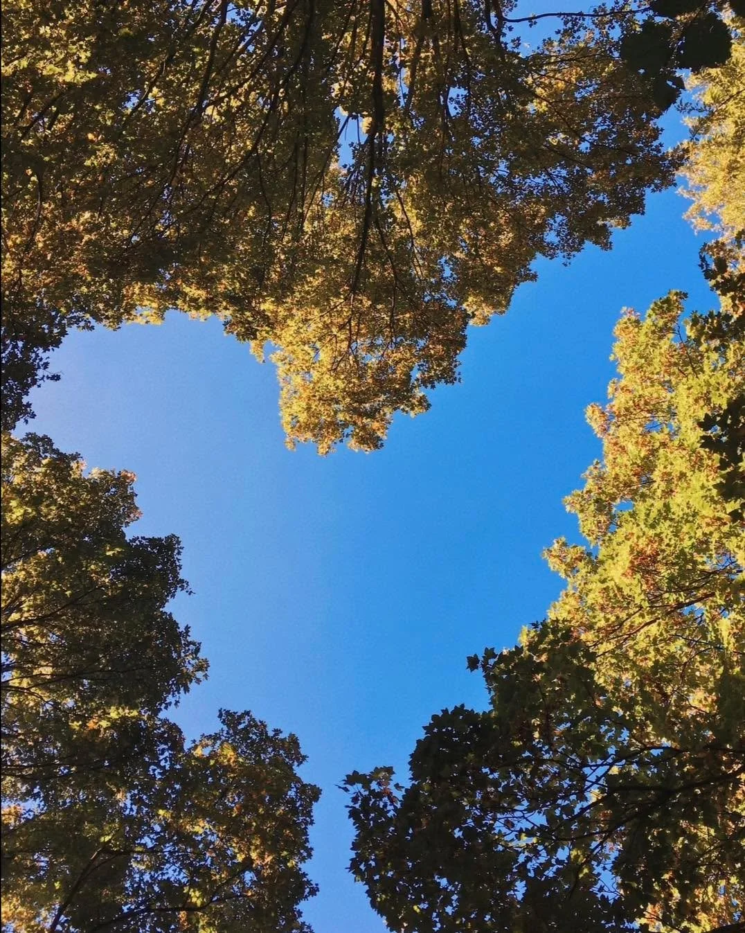 After every storm the sun comes out&hellip;.Yoga Loft is open Today&hellip;..

Join us 915am Vinyasa Flow with Josh and 10.15am Restorative yoga with Kat

Book https://momence.com/u/theyogaloft