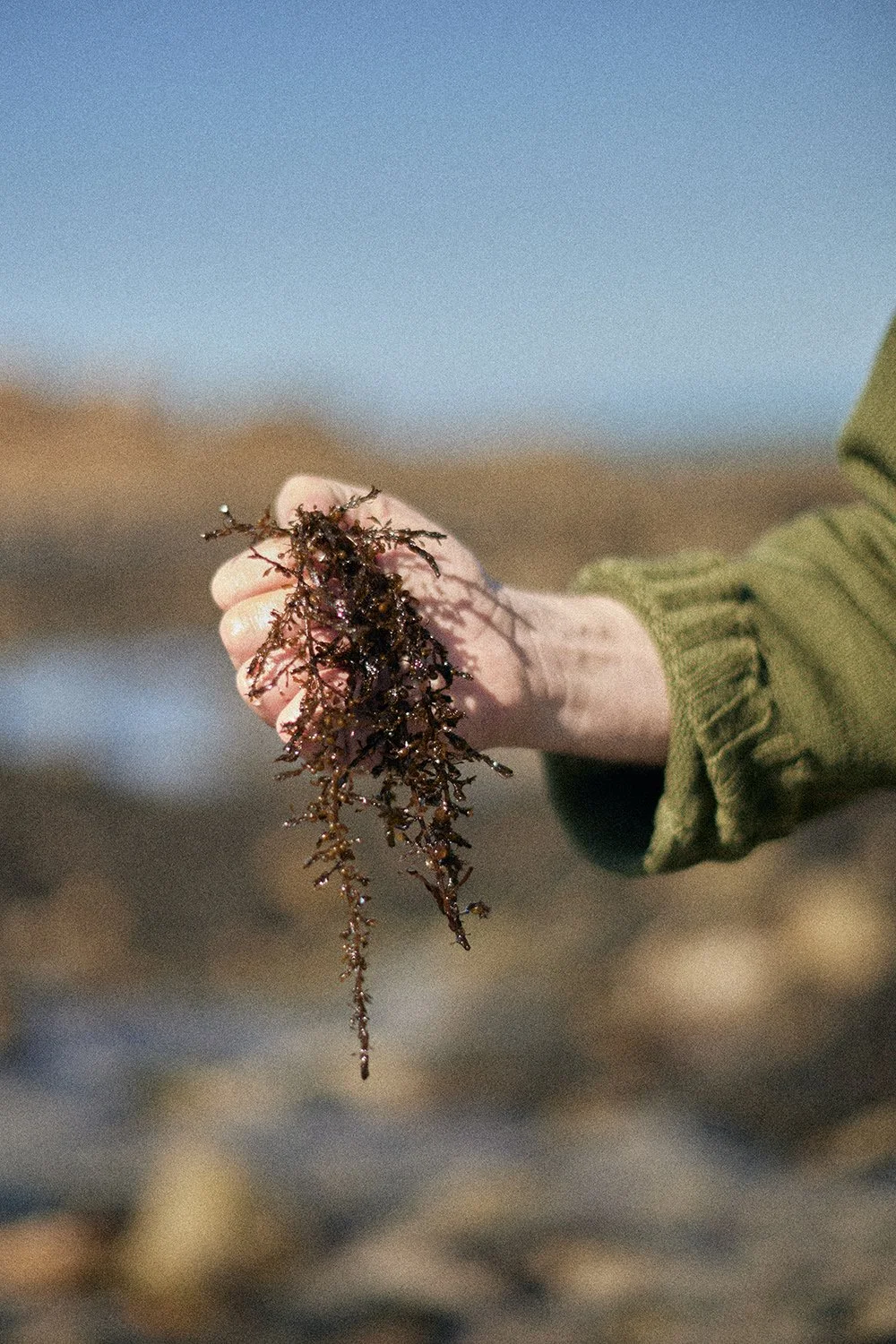 C2R68248.jpg