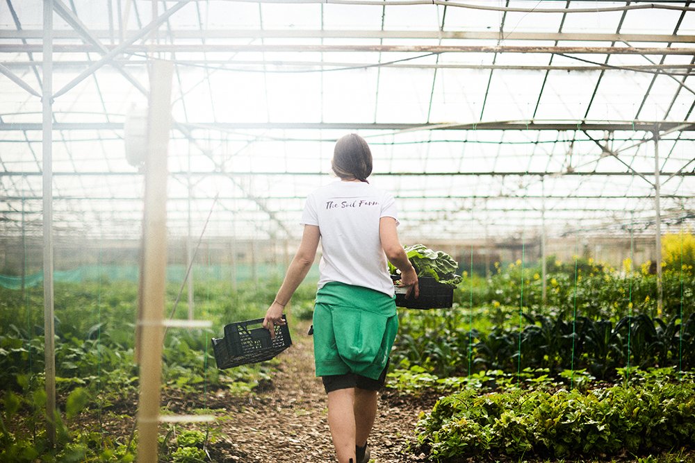 C2R60564soilfarm.jpg