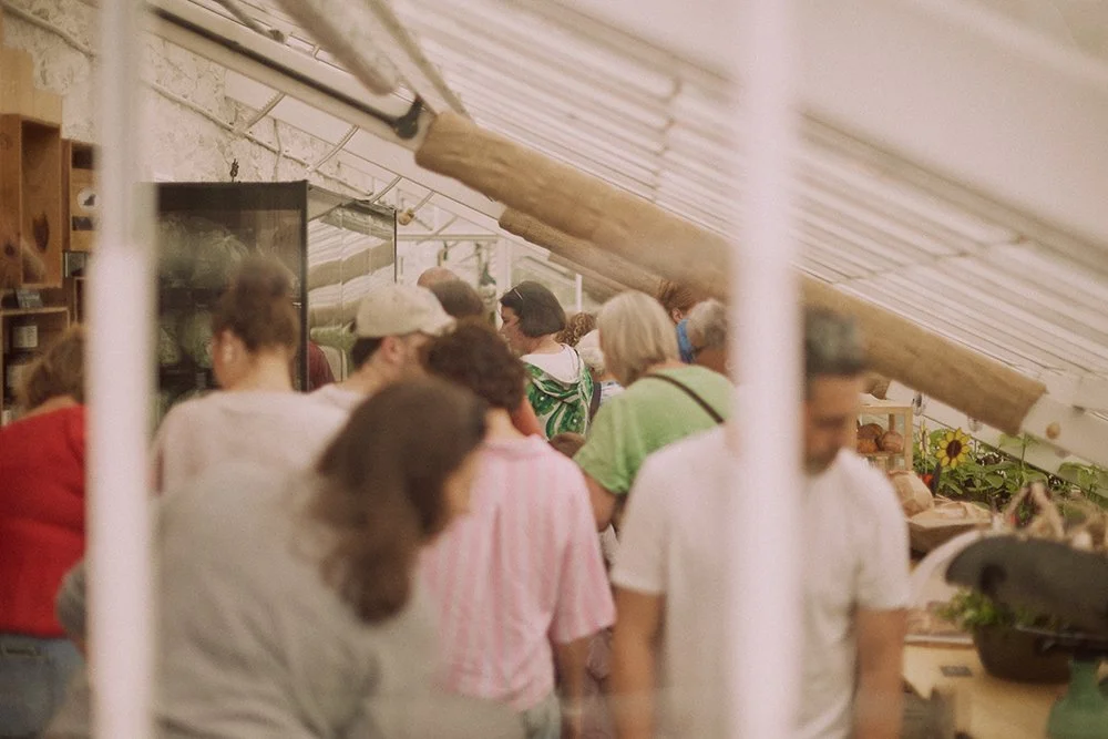 26-07-04-RowanTreeFarm-OpenDay-0442.jpg