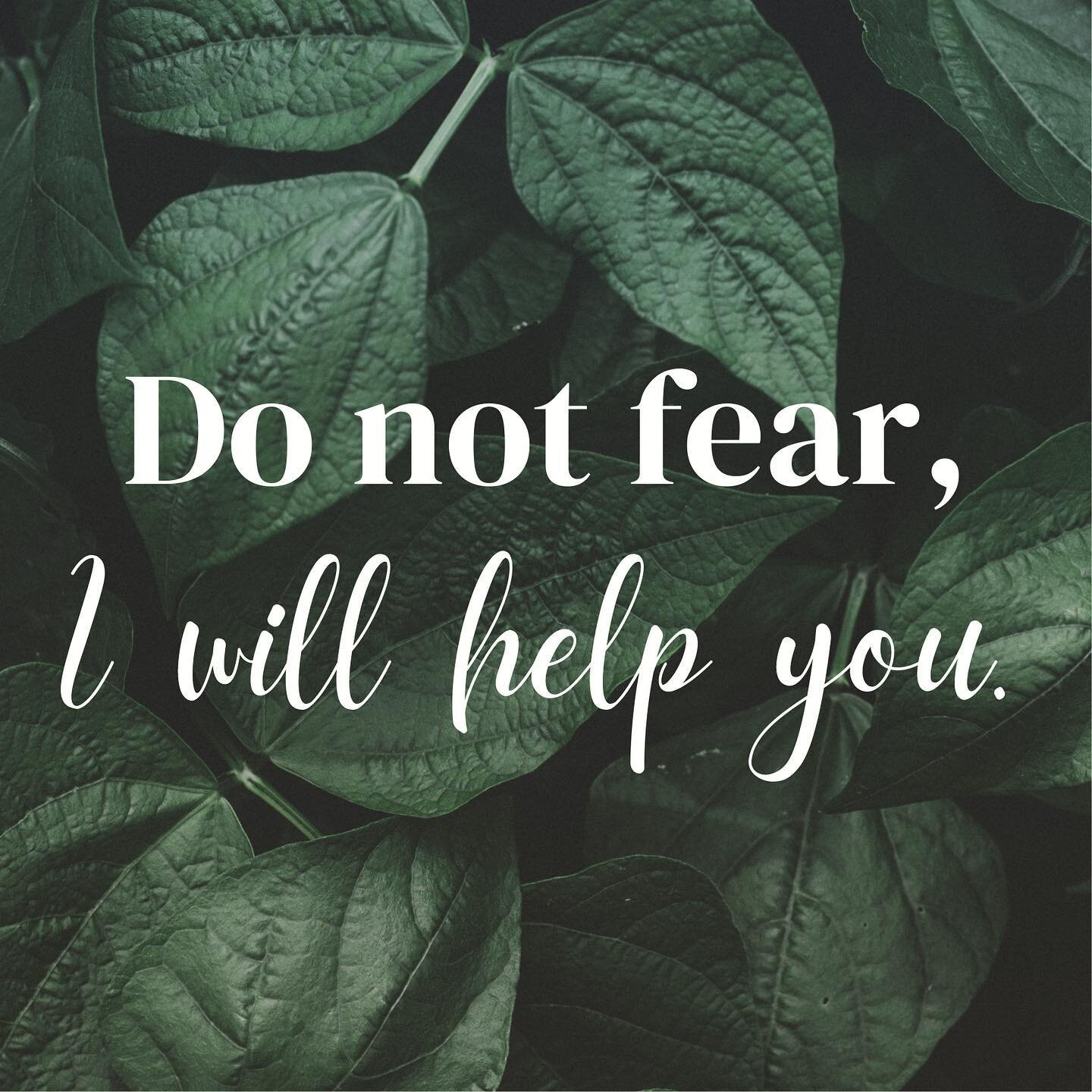 Thoughtful Thursday: &ldquo;For I, the Lord your God, hold your right hand; it is I who say to you, &ldquo;Do not fear, I will help you.&rdquo;&rdquo; Isaiah‬ ‭41:13‬ ‭NRSV‬‬