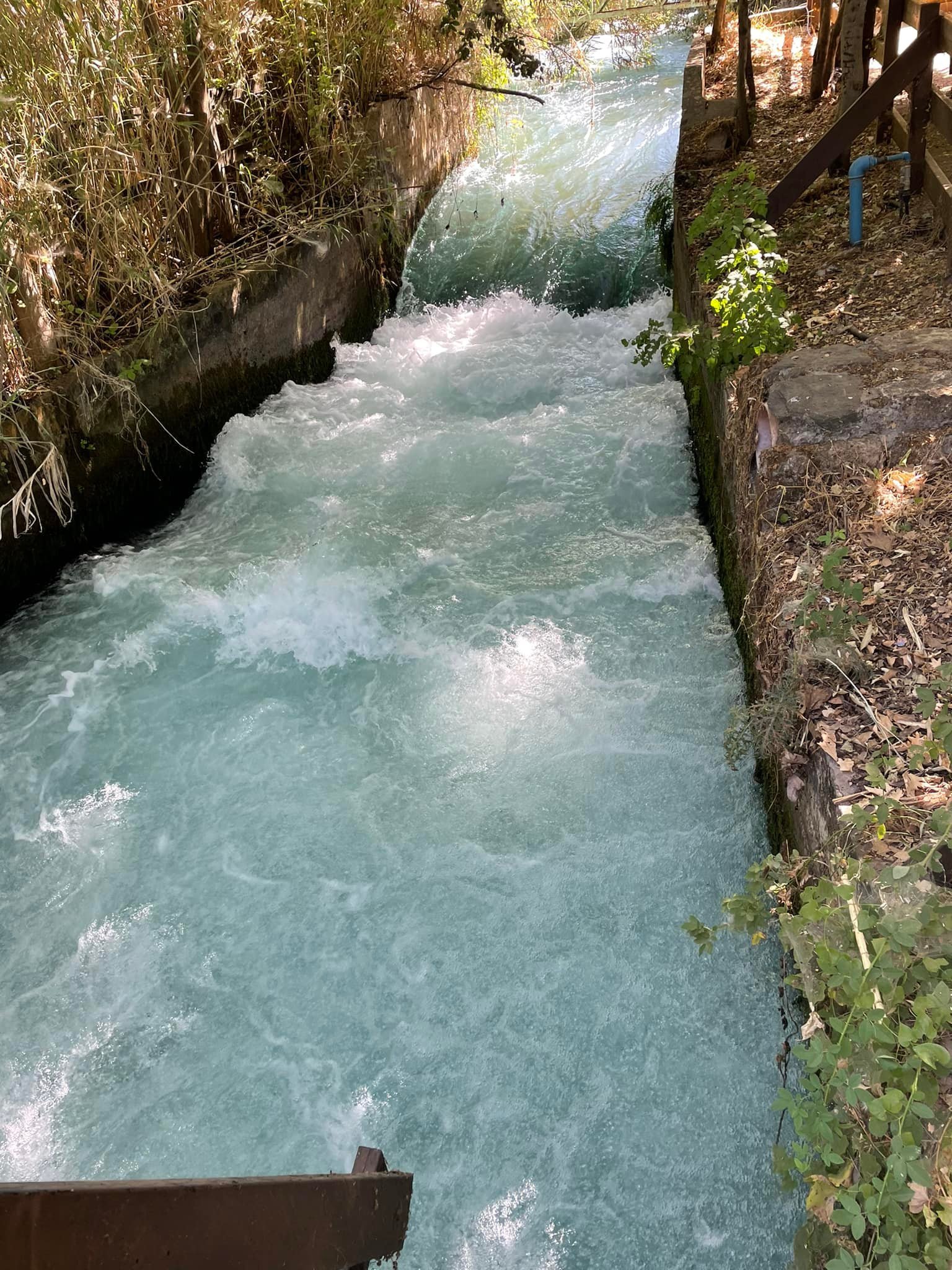  This is the stream that flows out of Tel Dan. Rushing hard! 