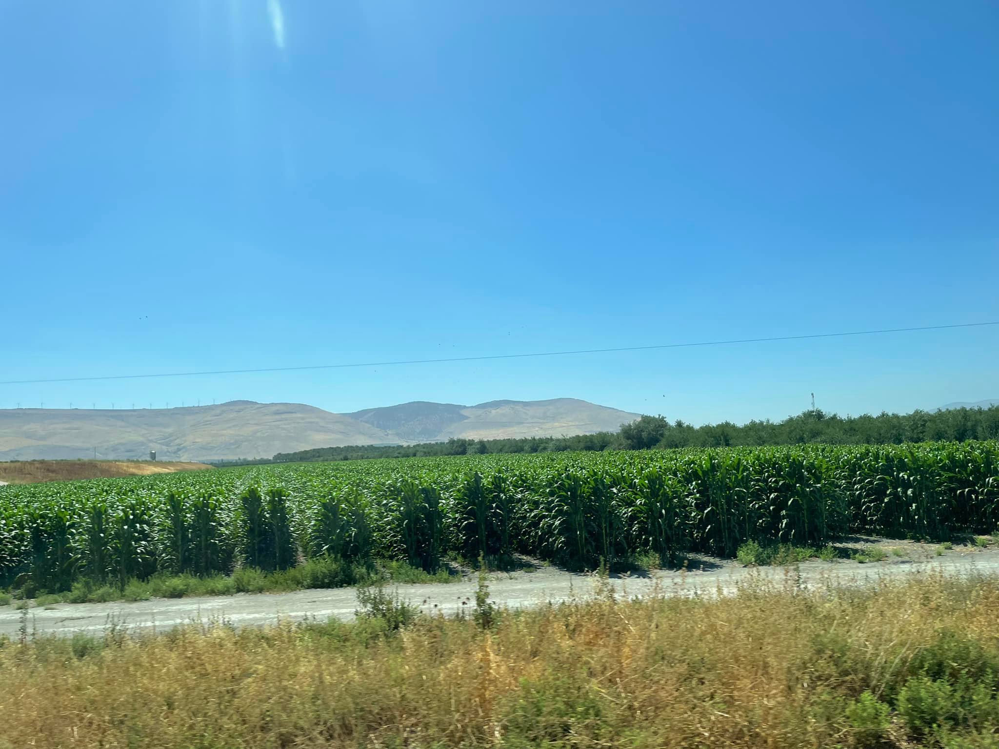  Driving south along the Jordan. The mountains in the distance are in the country of Jordan. The Valley is lush now because of Israeli cultivation. Israel also works with Jordan to develop the Jordanian side of the river. 