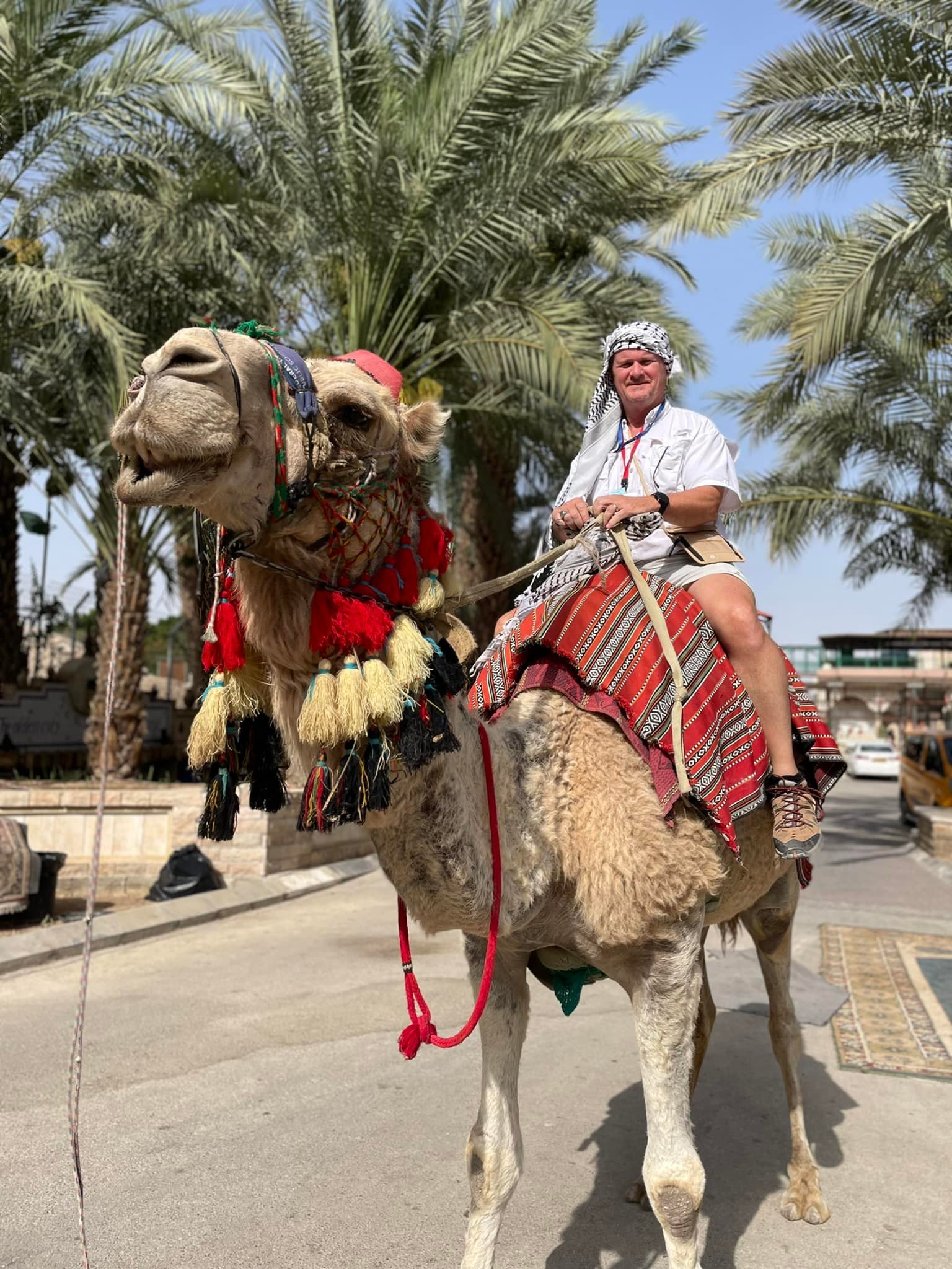  Well, how often do you run into a camel in a parking lot? 