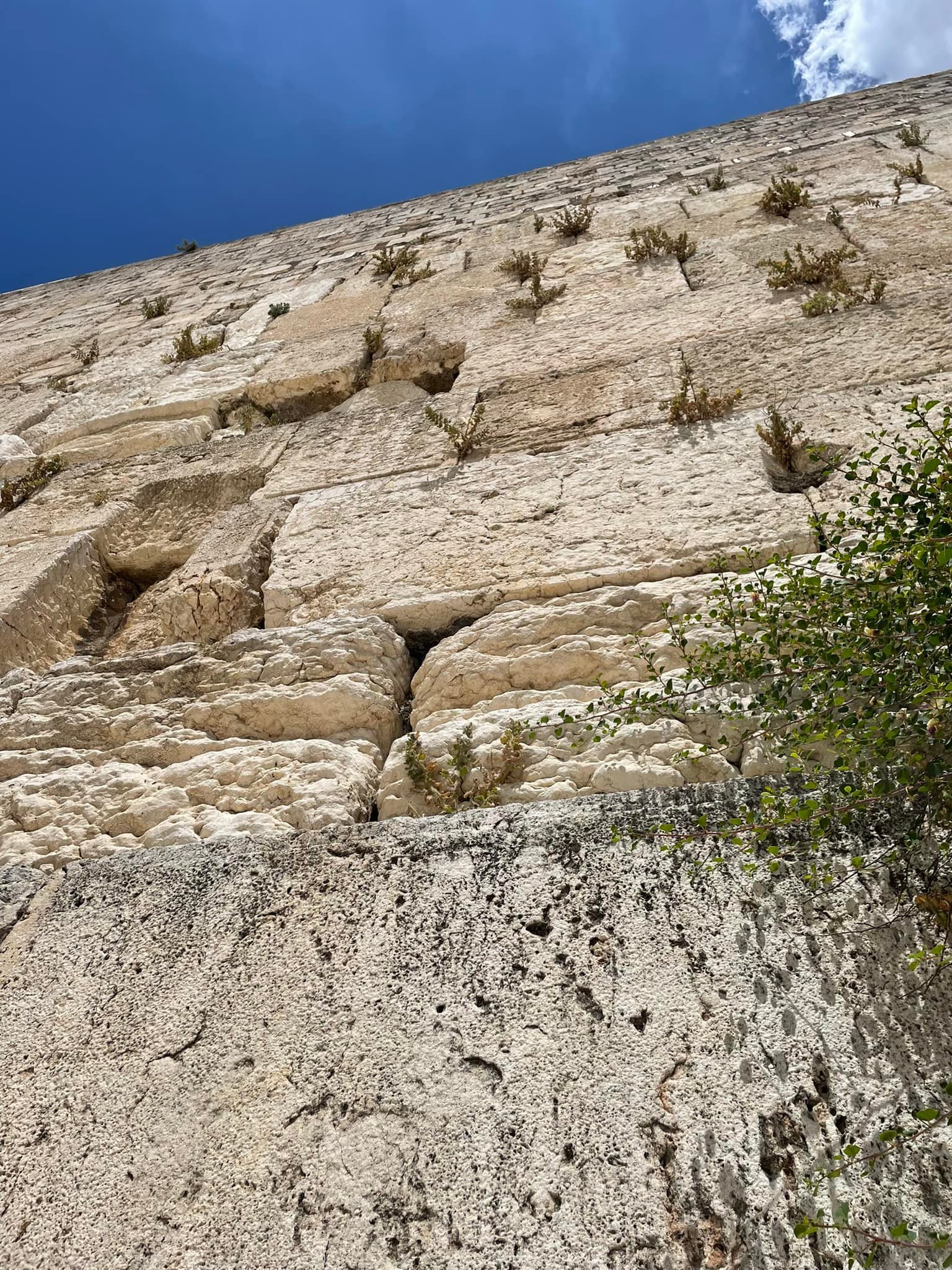  Looking up from the spot where I placed my prayers and prayed them. 