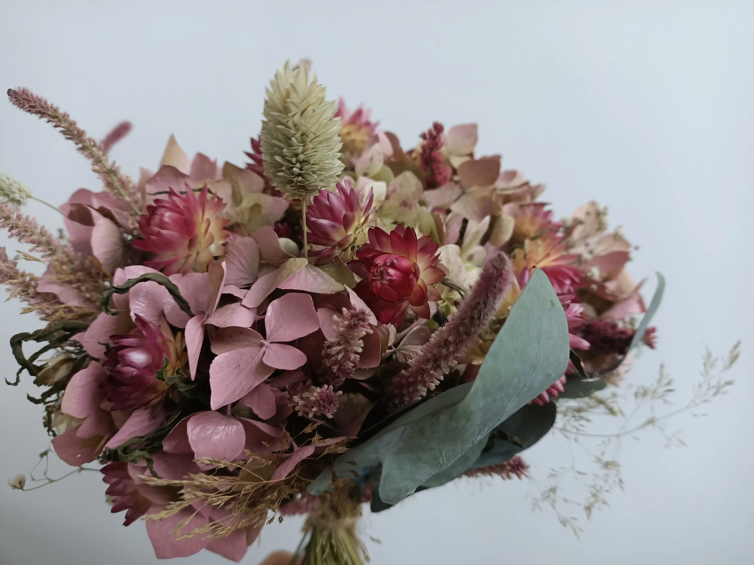 pink bq close up.jpg