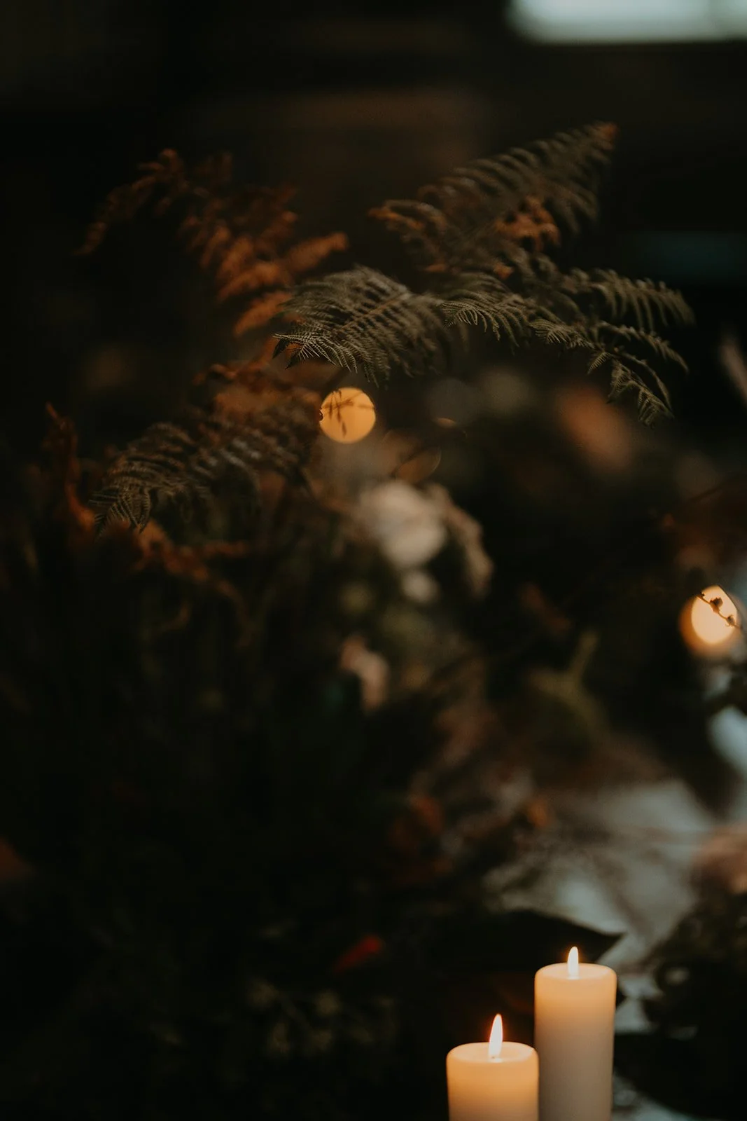 L_2bR - Ceremony  - Full Res-162.jpg