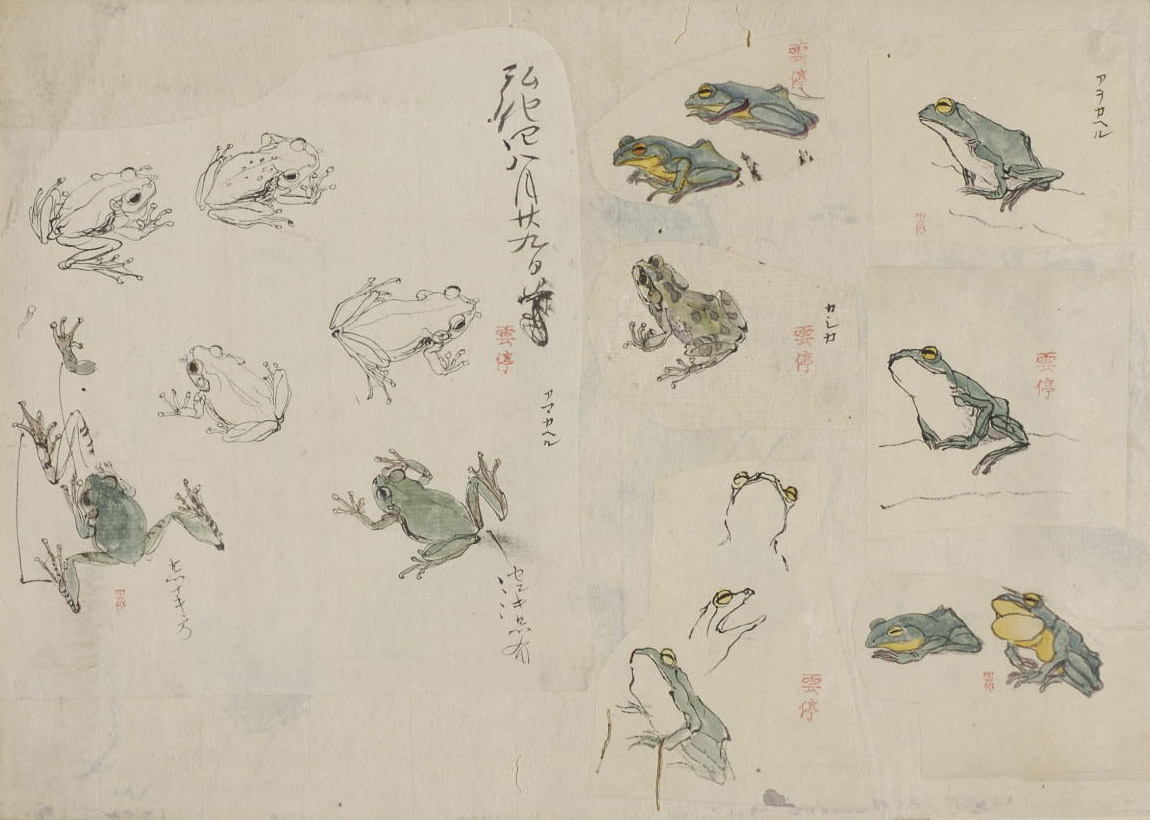 げろげろ / gerogero / ribbit ribbit / sound of frog croaking Can you have too many frogs?