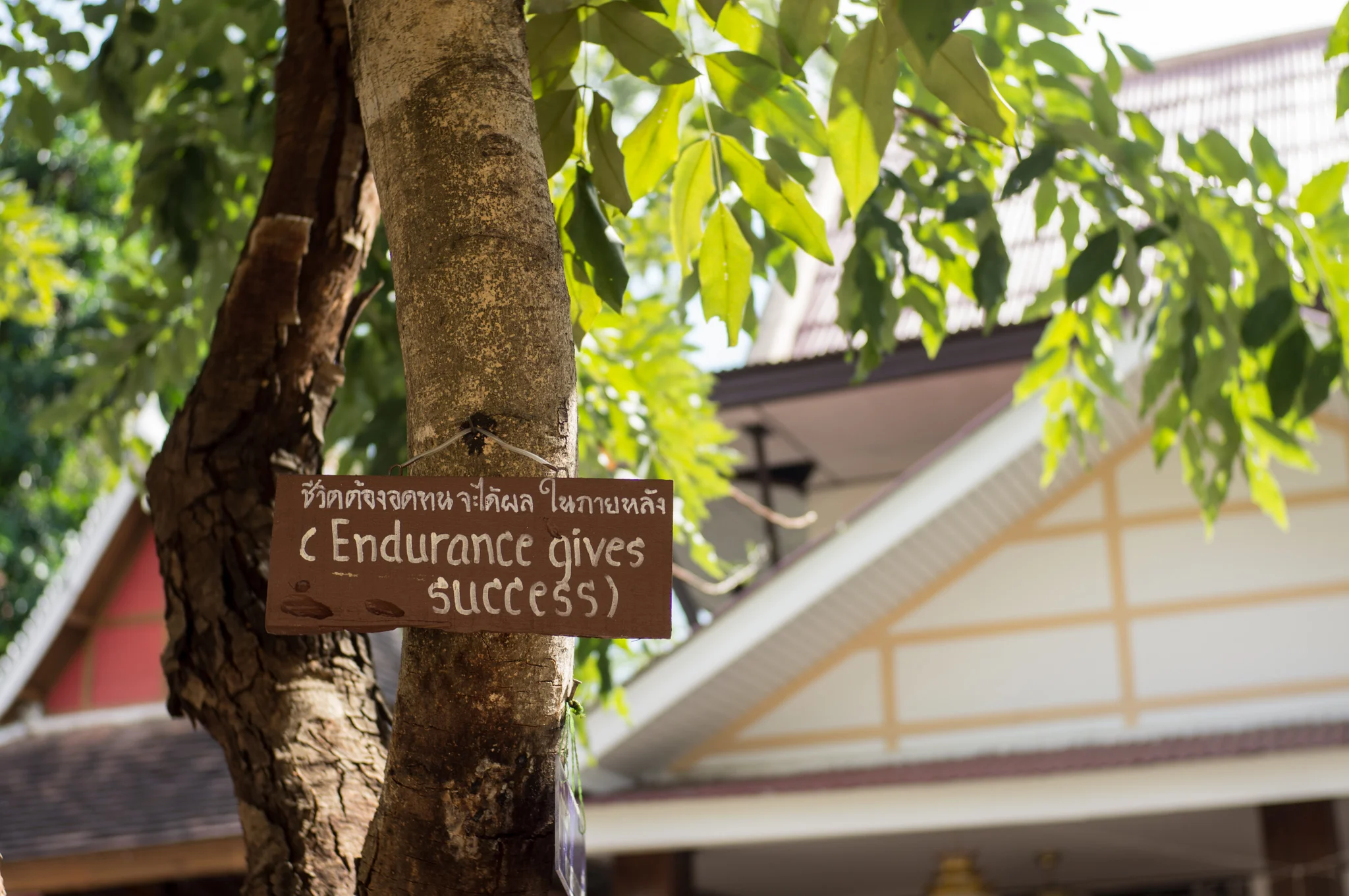 January 2012, Chiang Mai (เชียงใหม่), Kingdom of Thailand (ราชอาณาจักรไทย).