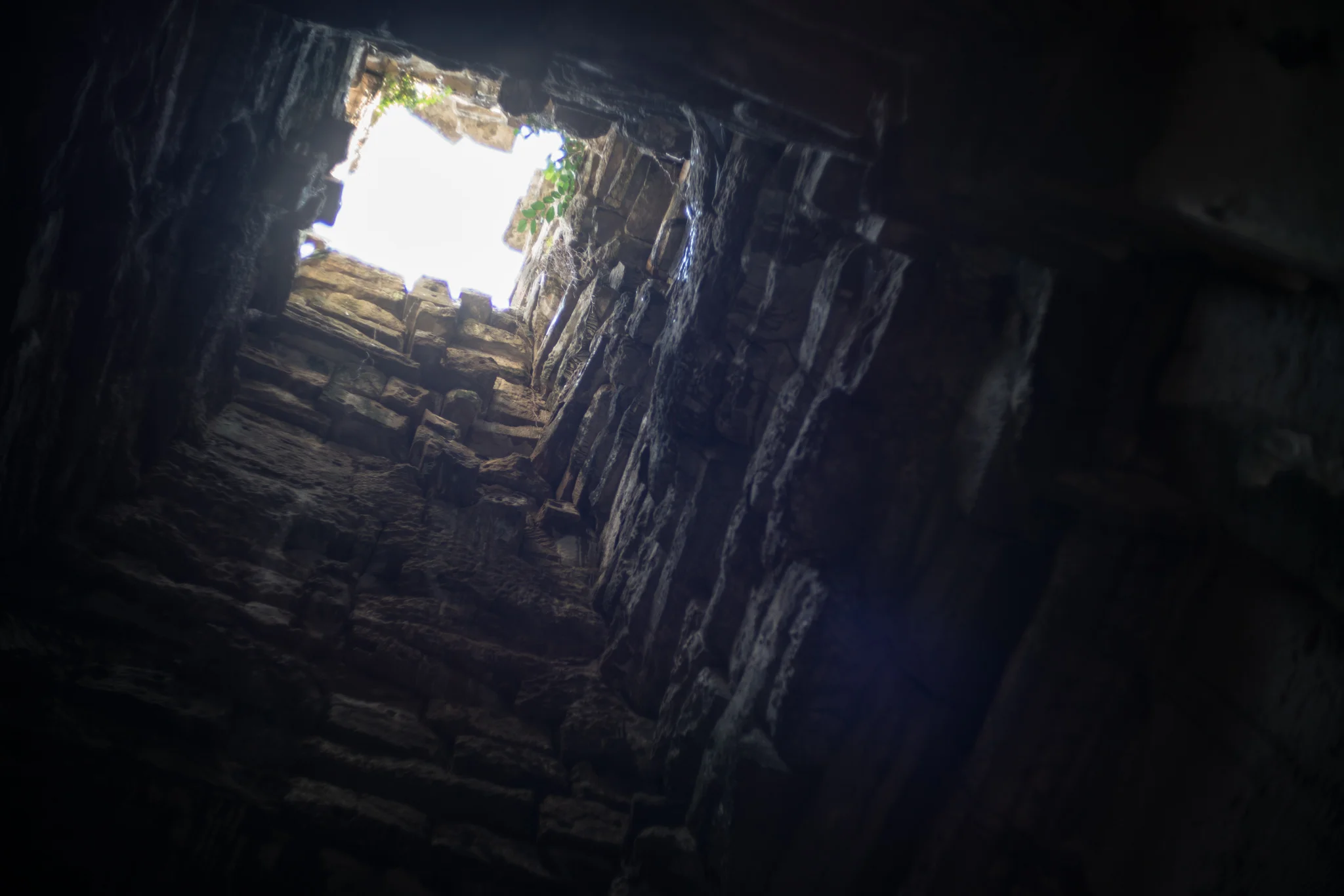 January 2017, Ta Prohm (ប្រាសាទតាព្រហ្ម), Angkor (អង្គរ), Kingdom of Cambodia (ព្រះរាជាណាចក្រកម្ពុជា).
