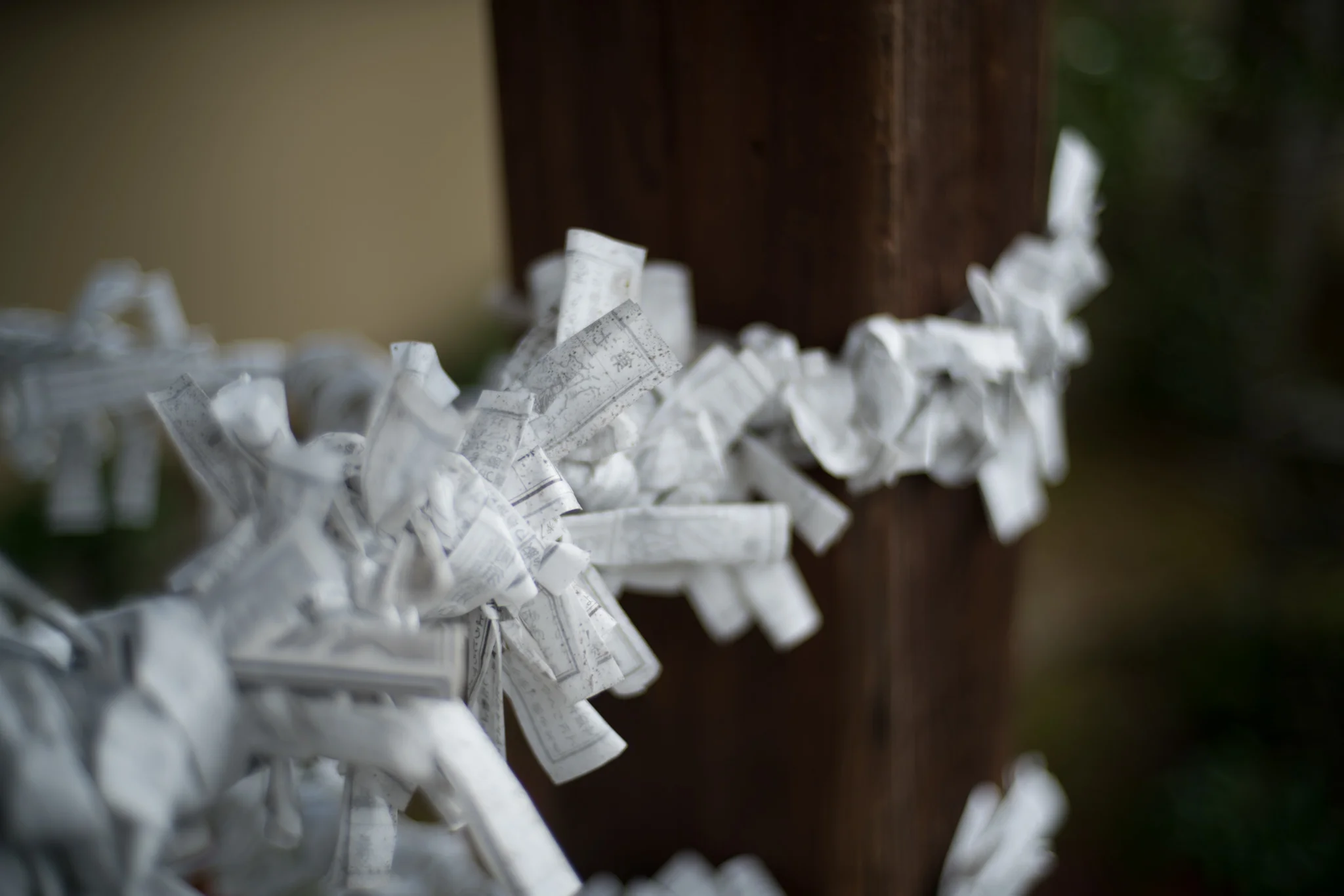 December 2016, Tenryū-ji (天龍寺), Kyoto (京都市), Japan (日本).