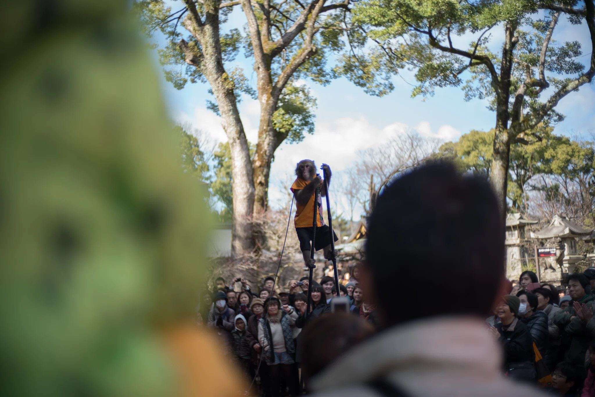 December 2016, Kitano Tenmangū (北野天満宮), Kyoto (京都市), Japan (日本). Jaded monkey.